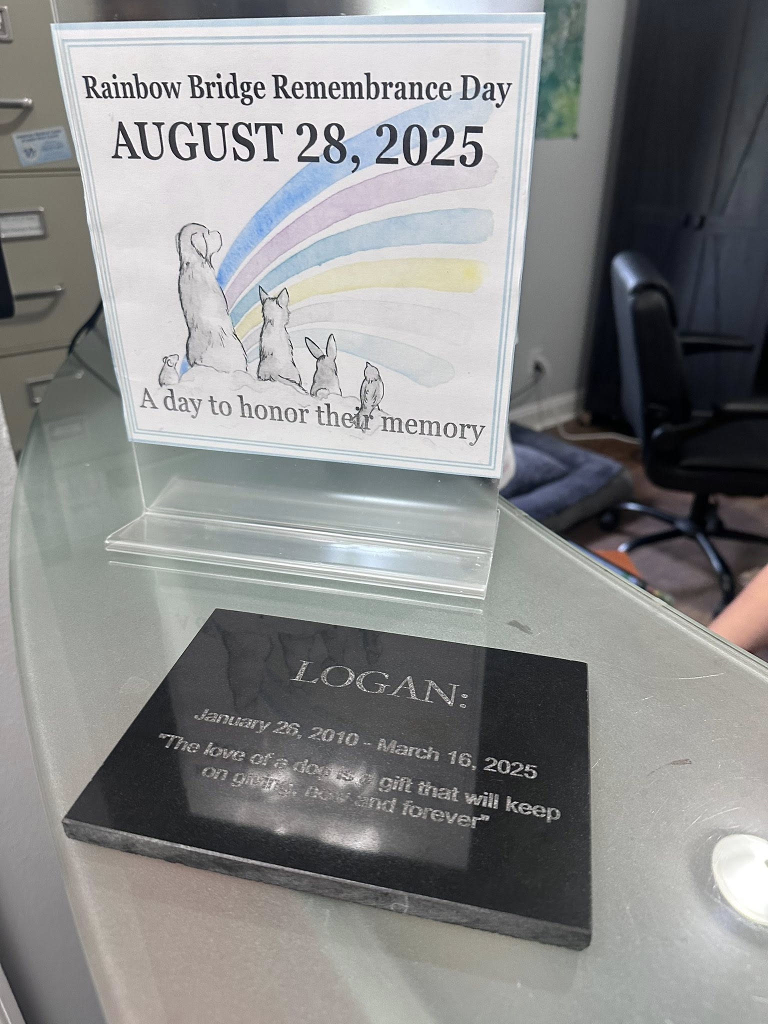 South Paw Massage & Wellness - Home of the Vero Beach Canine Country Club Vero Beach