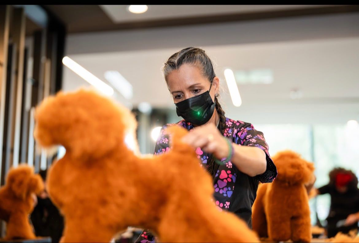 Posh Paws of Vero Beach Vero Beach