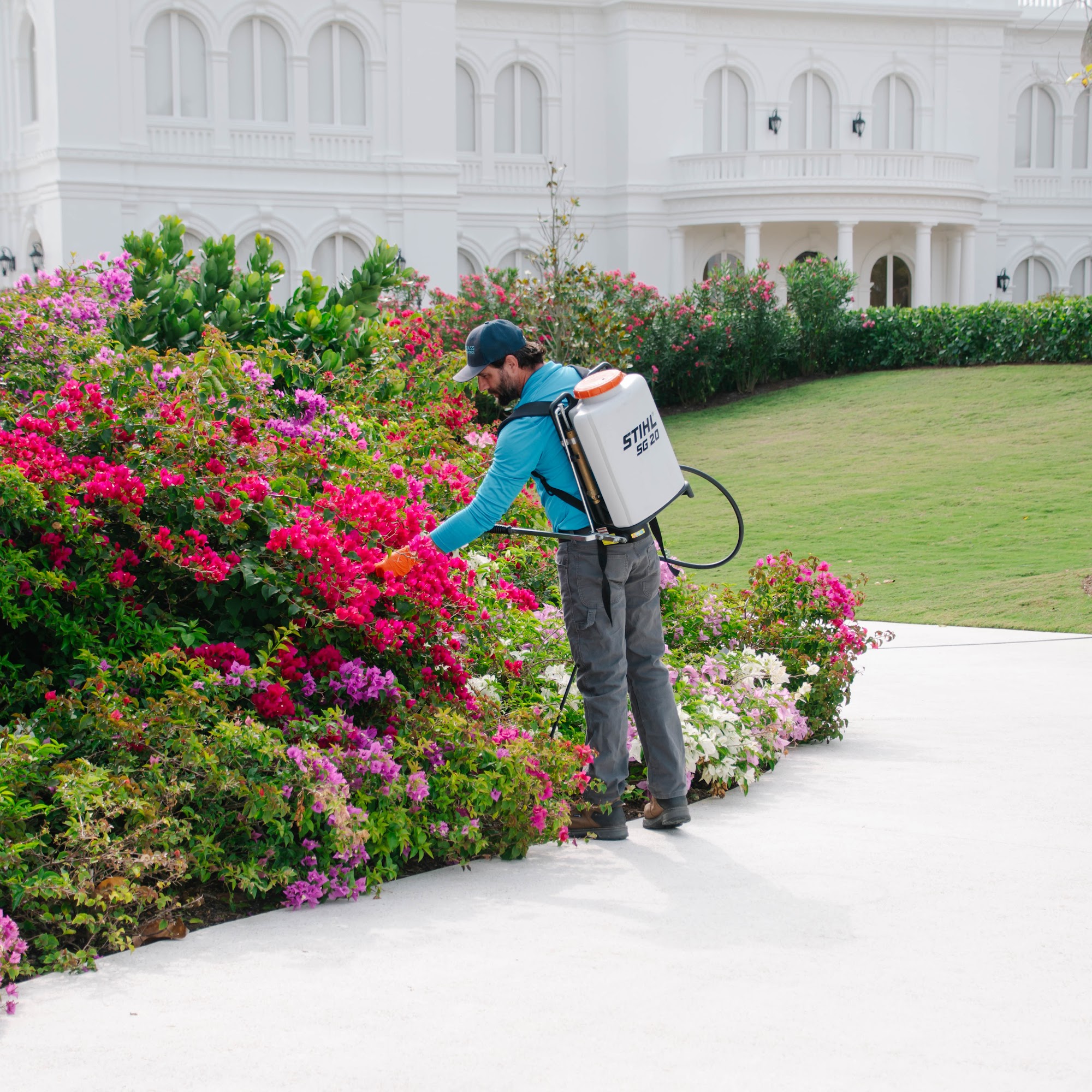 Compass Pest Control