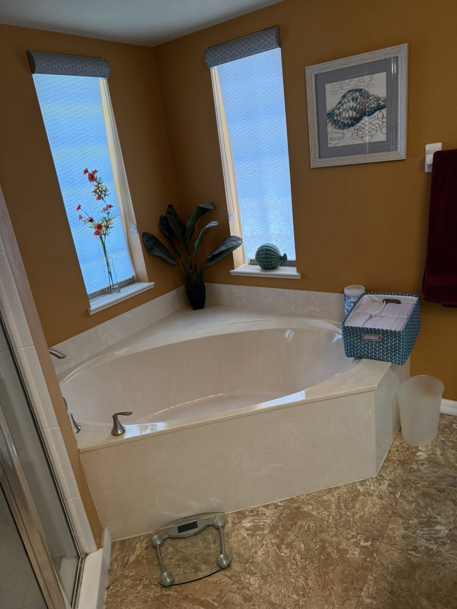 Island Homes & Renovations