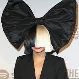 Zoomies Dog Spa & Goodies Vero Beach