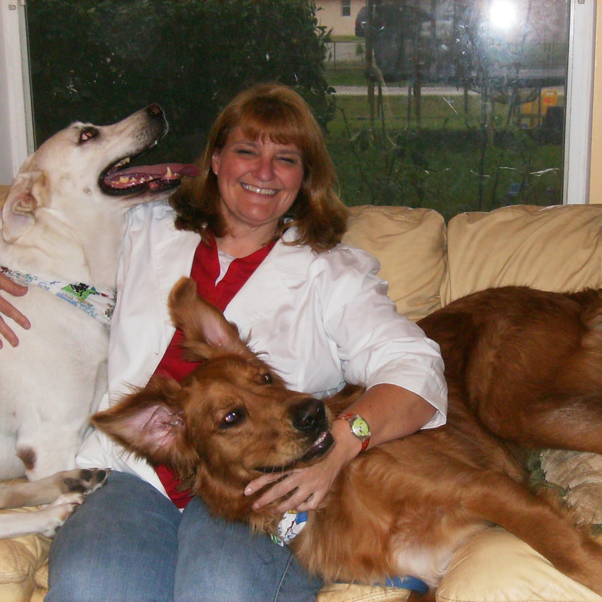 Animal Clinic at Wellington Reserve Wellington