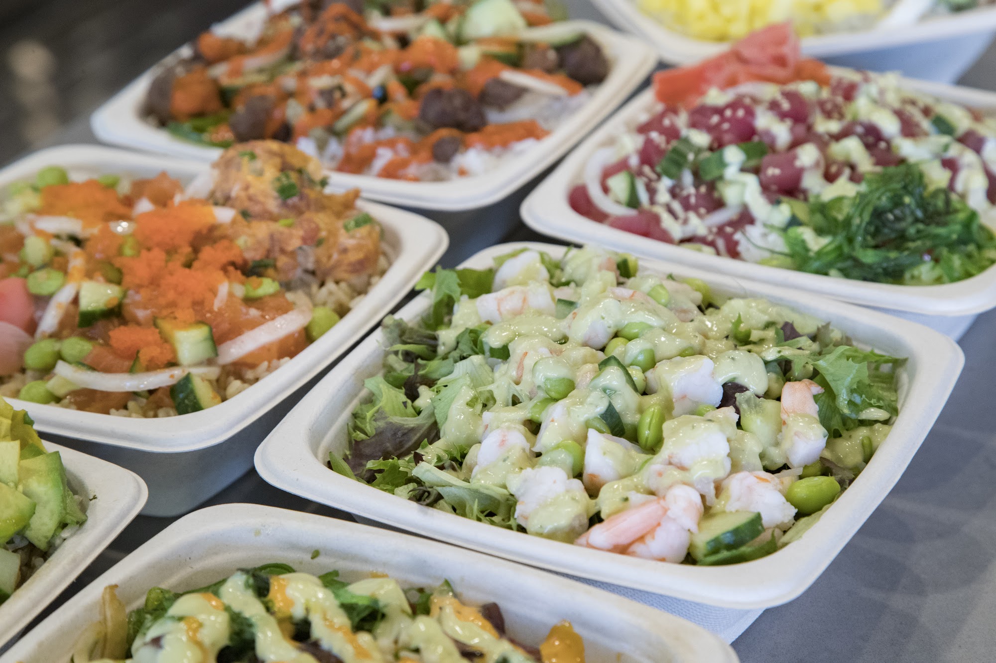 The Poké Company Wellington