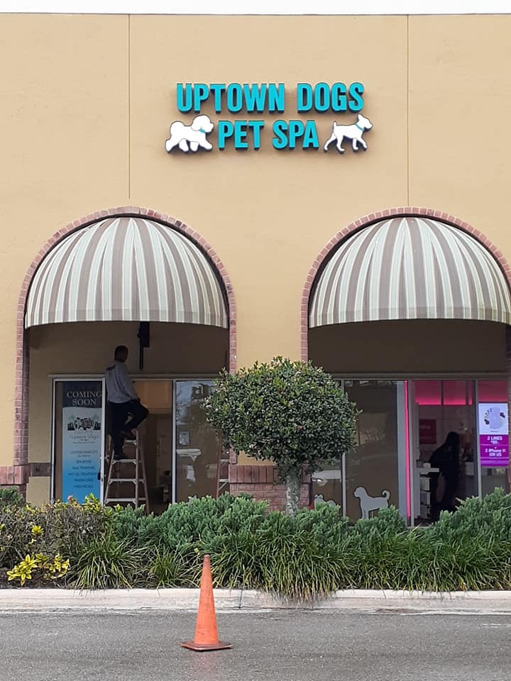 Uptown Dogs Pet Spa Wellington