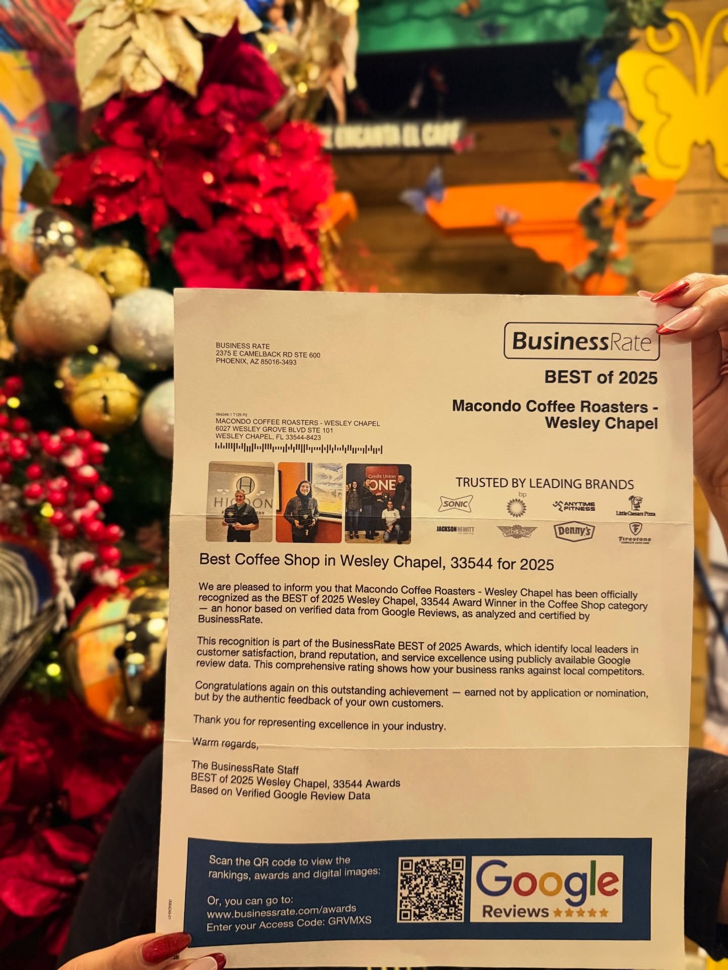 Macondo Coffee Roasters - Wesley Chapel Wesley Chapel