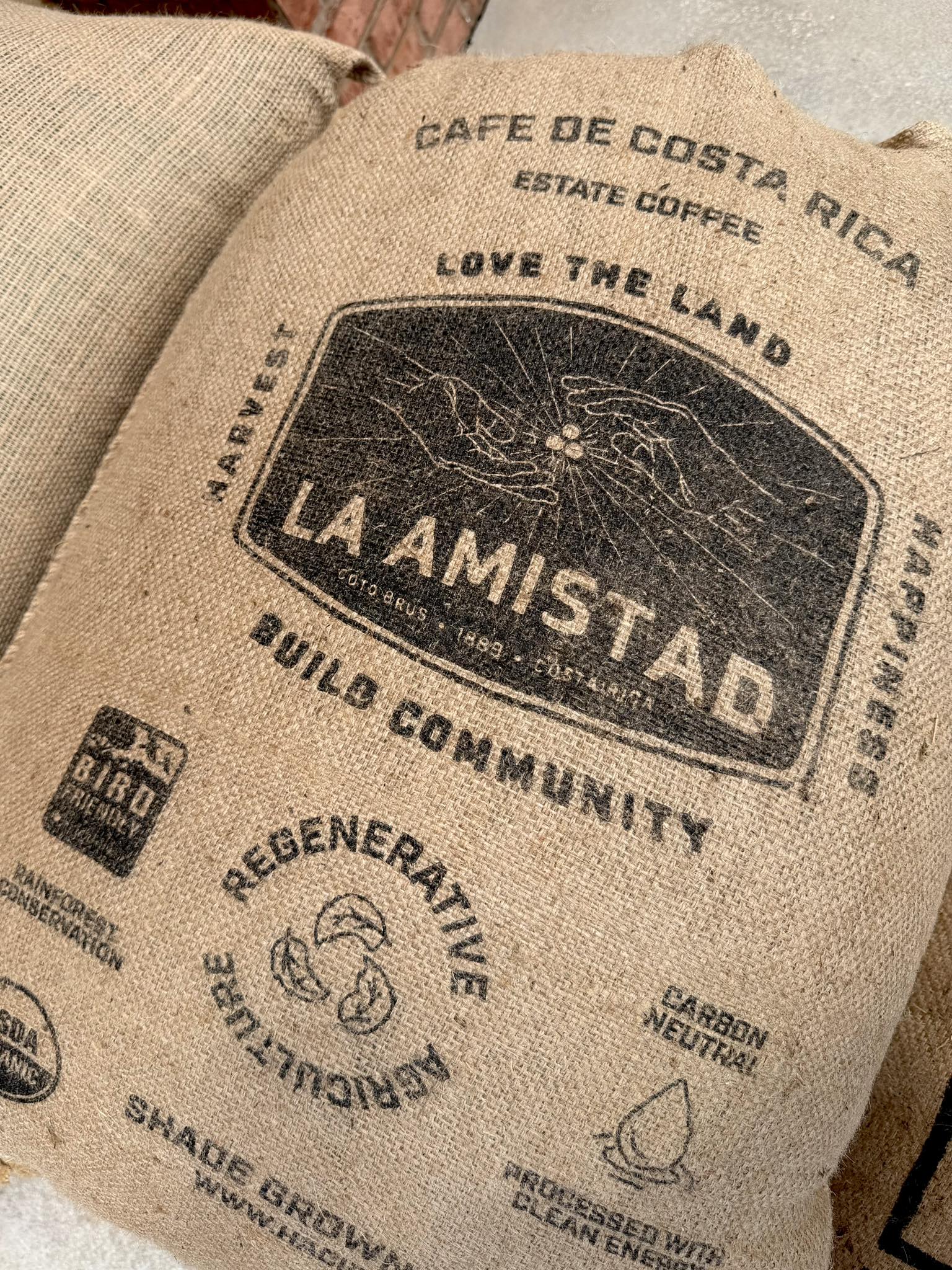Coffee Latitudes Cafe & Roastery Wesley Chapel