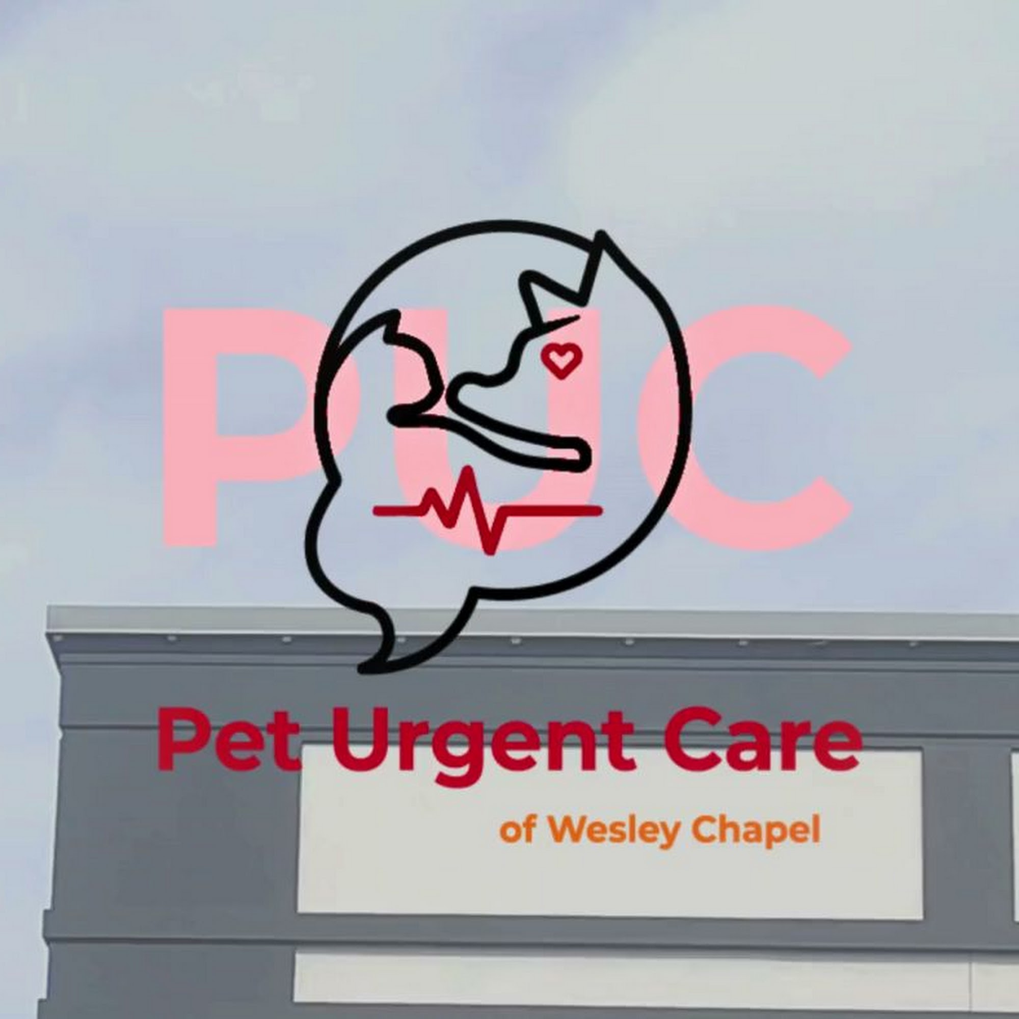 Pet Urgent Care of Wesley Chapel Wesley Chapel