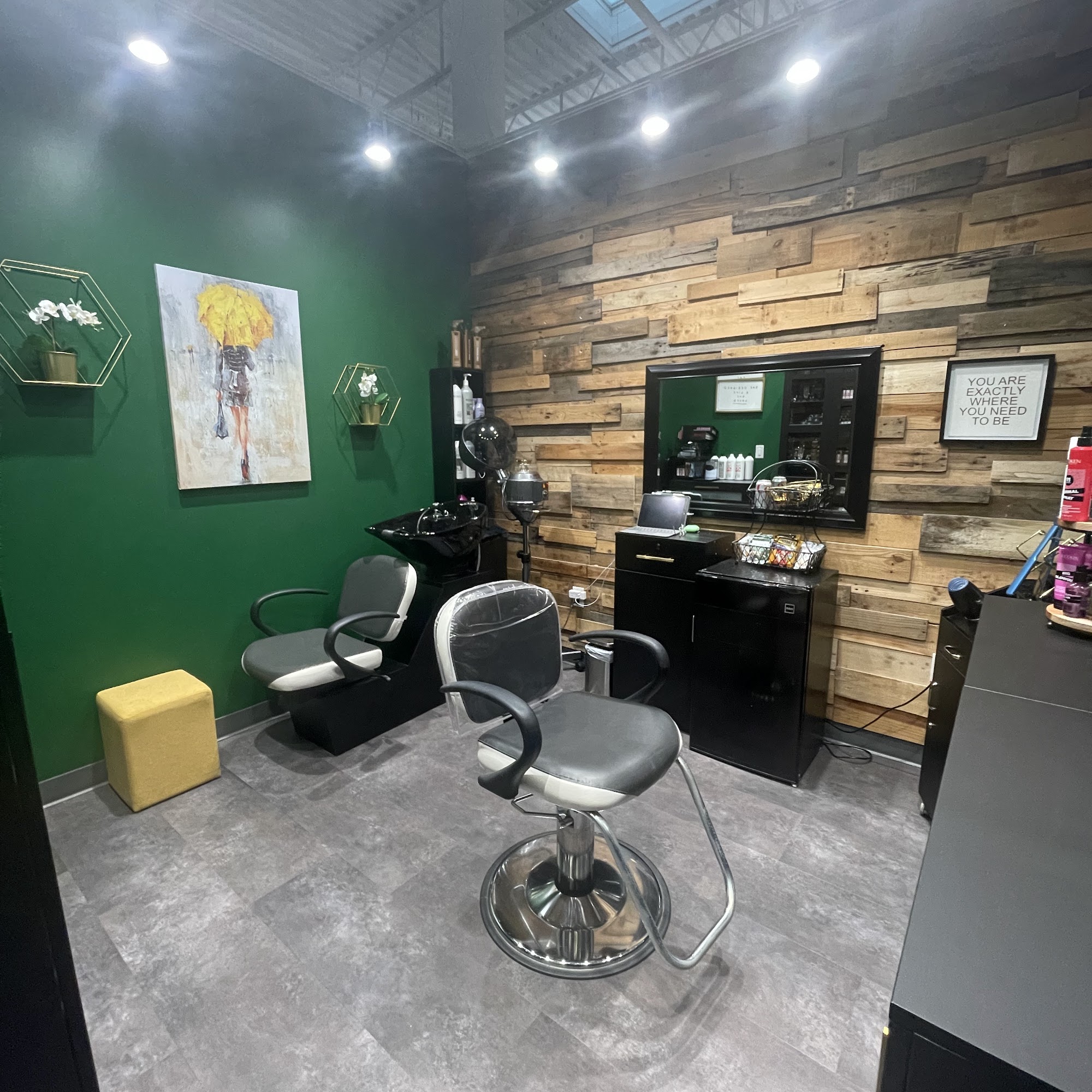 Michele Natale Hair 28100 Willet Way Suite #5, Wesley Chapel Florida 33543