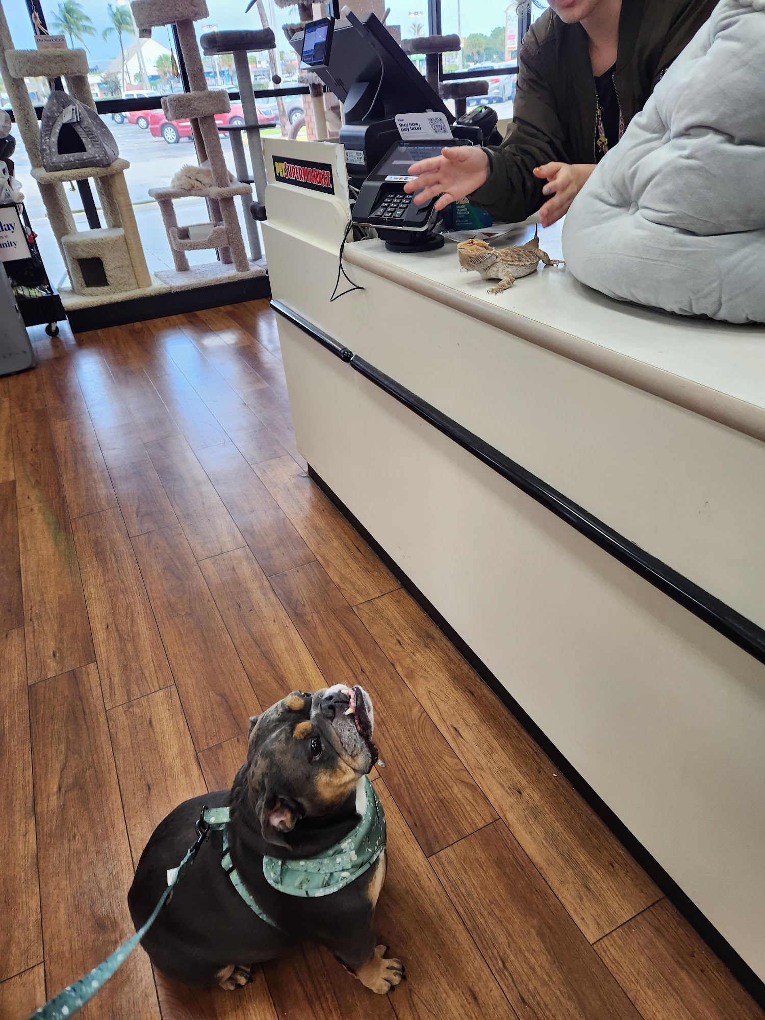 Pet Supermarket West Palm Beach