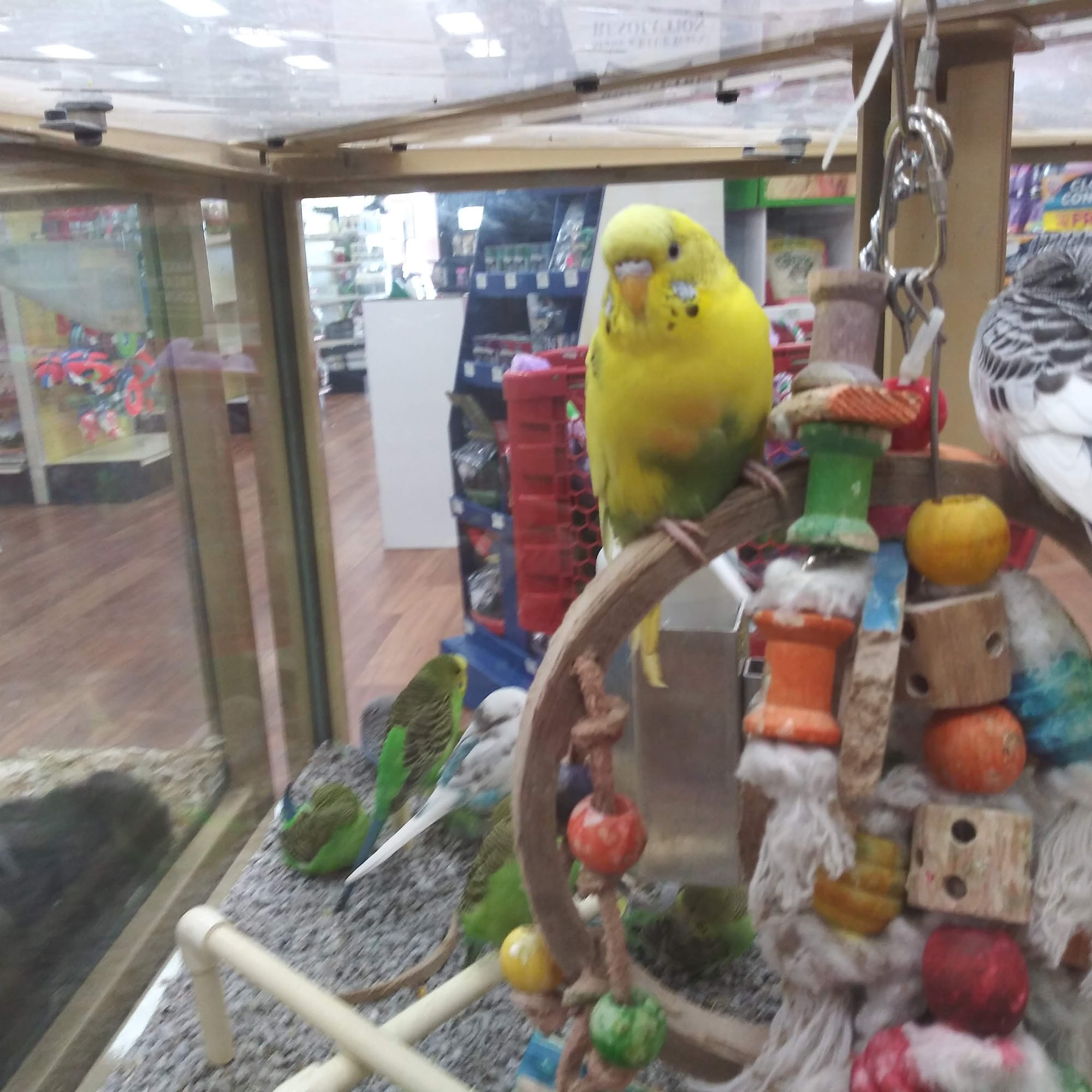 Pet Supermarket West Palm Beach