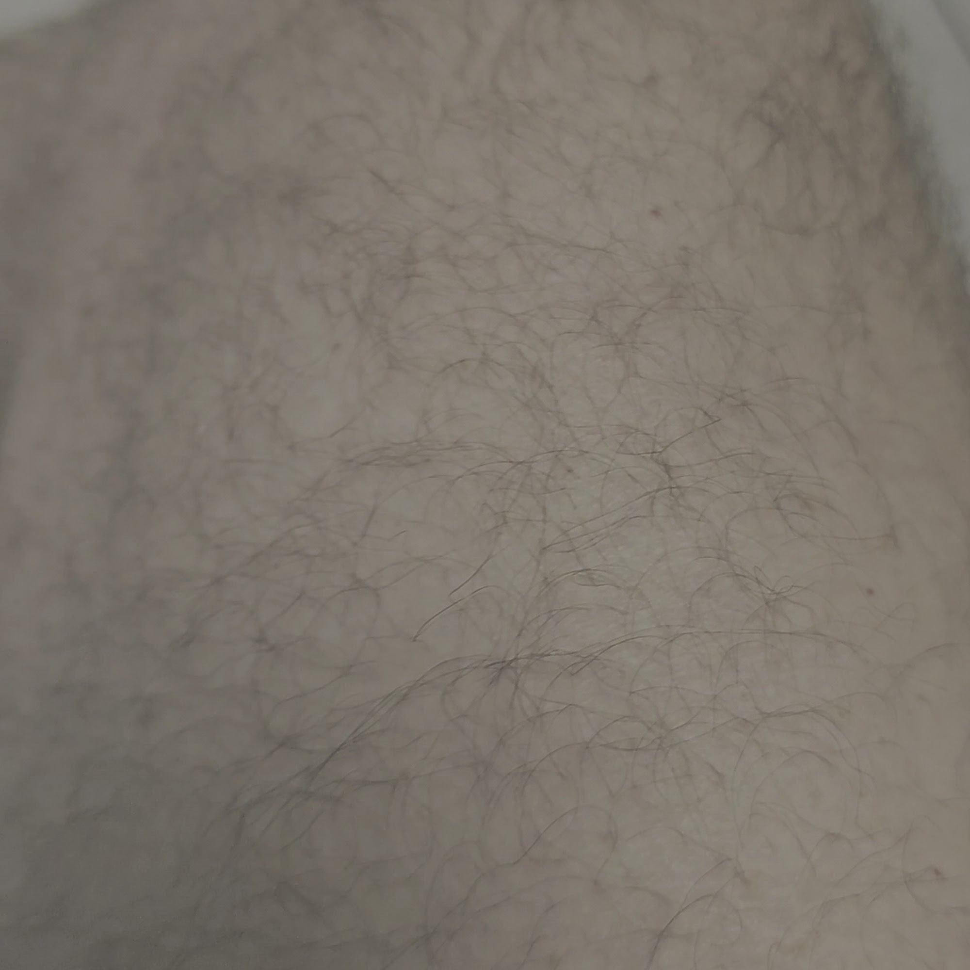 South Dixie Animal Hospital West Palm Beach