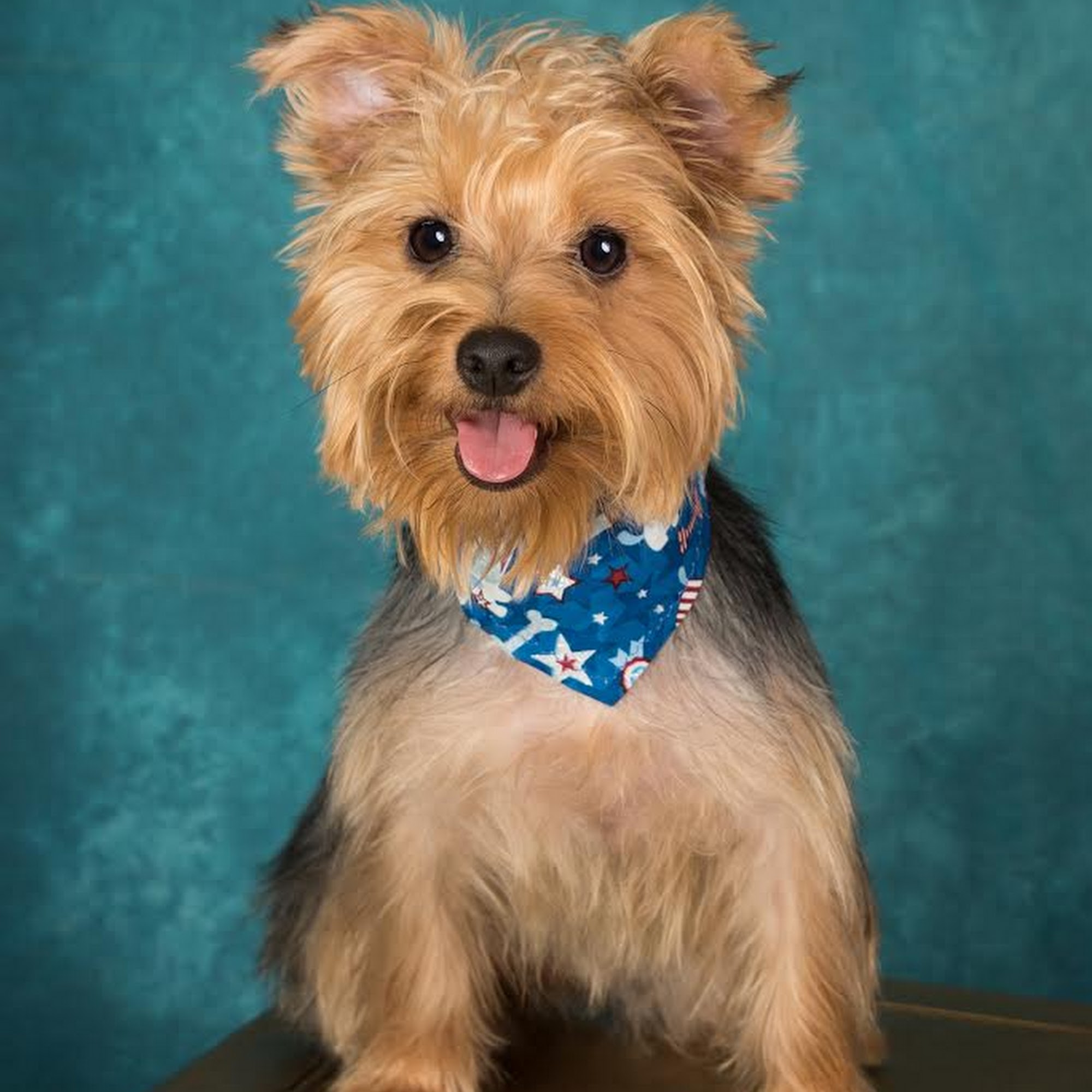 The Clip Joint of the Palm Beaches West Palm Beach