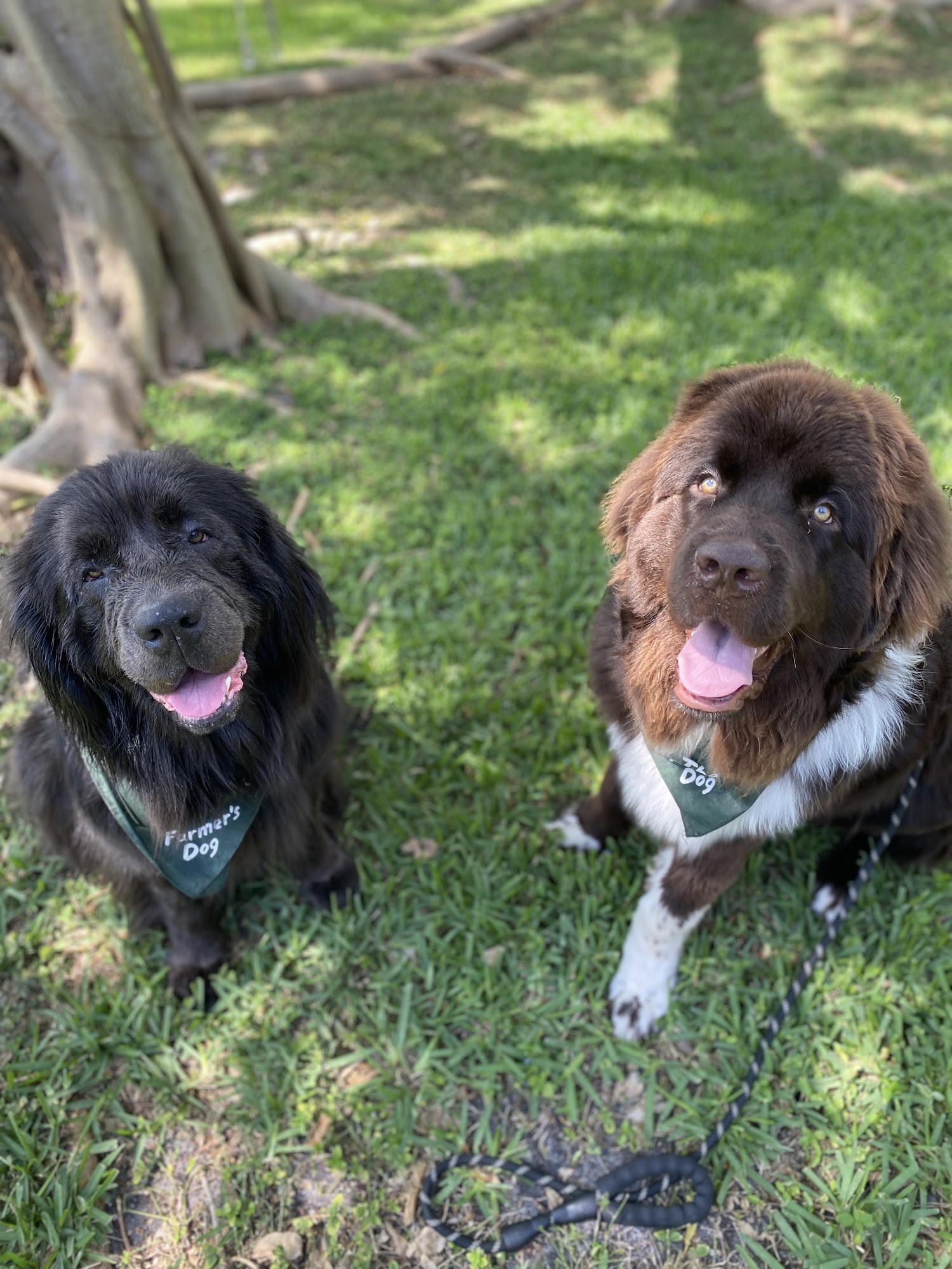 The Clip Joint of the Palm Beaches West Palm Beach