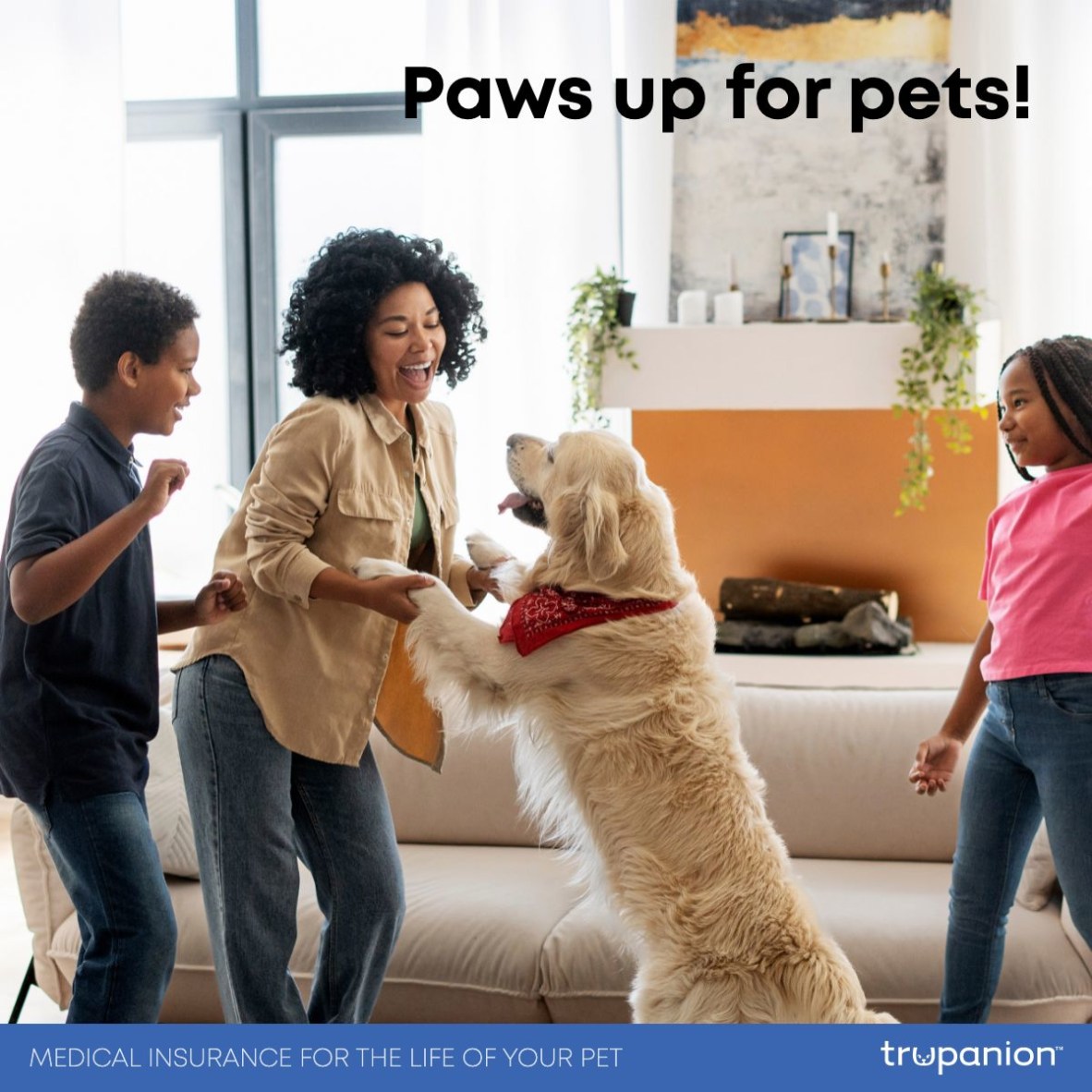 Clematis Animal Clinic West Palm Beach