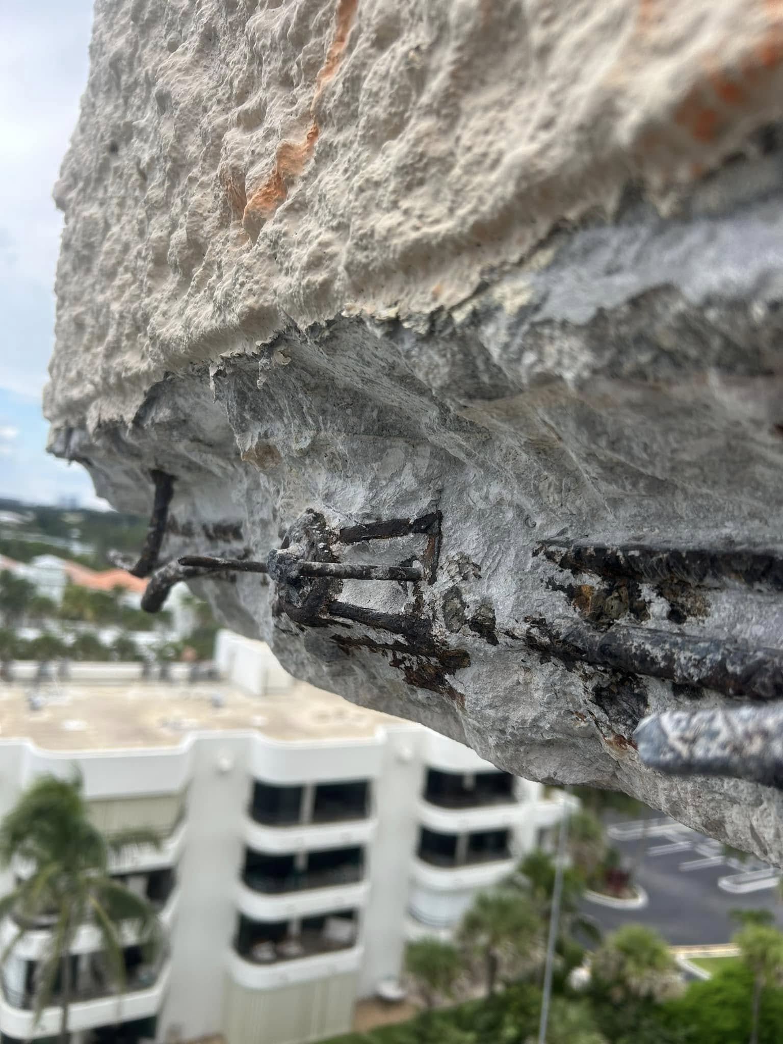 Daniello, Salazar & Sons