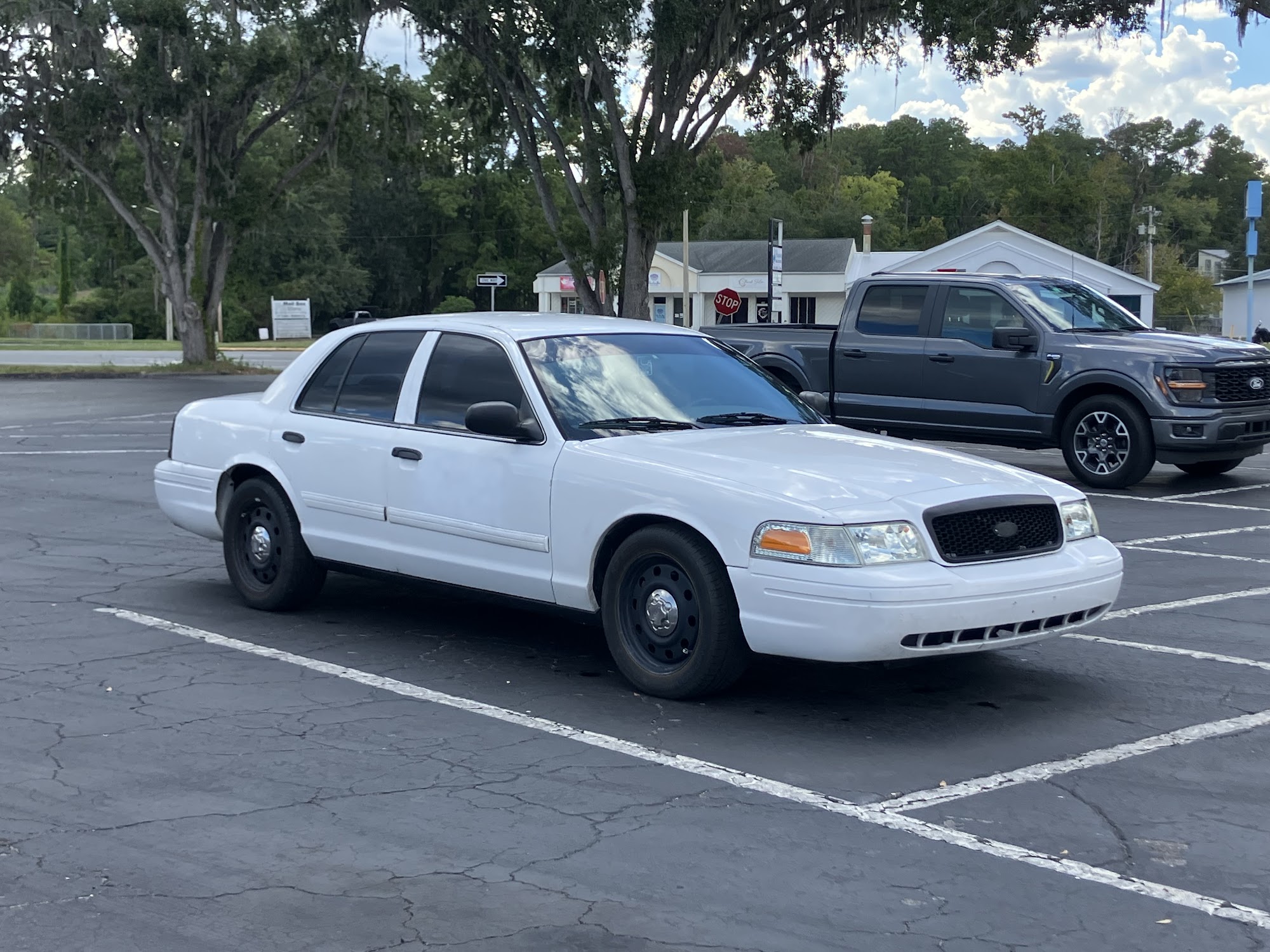 Circle C Automotive White Springs