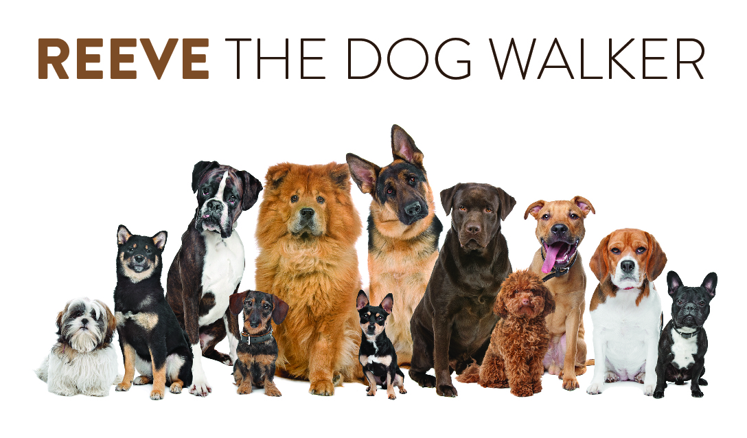 Reeve The Dog Walker Wilton Manors