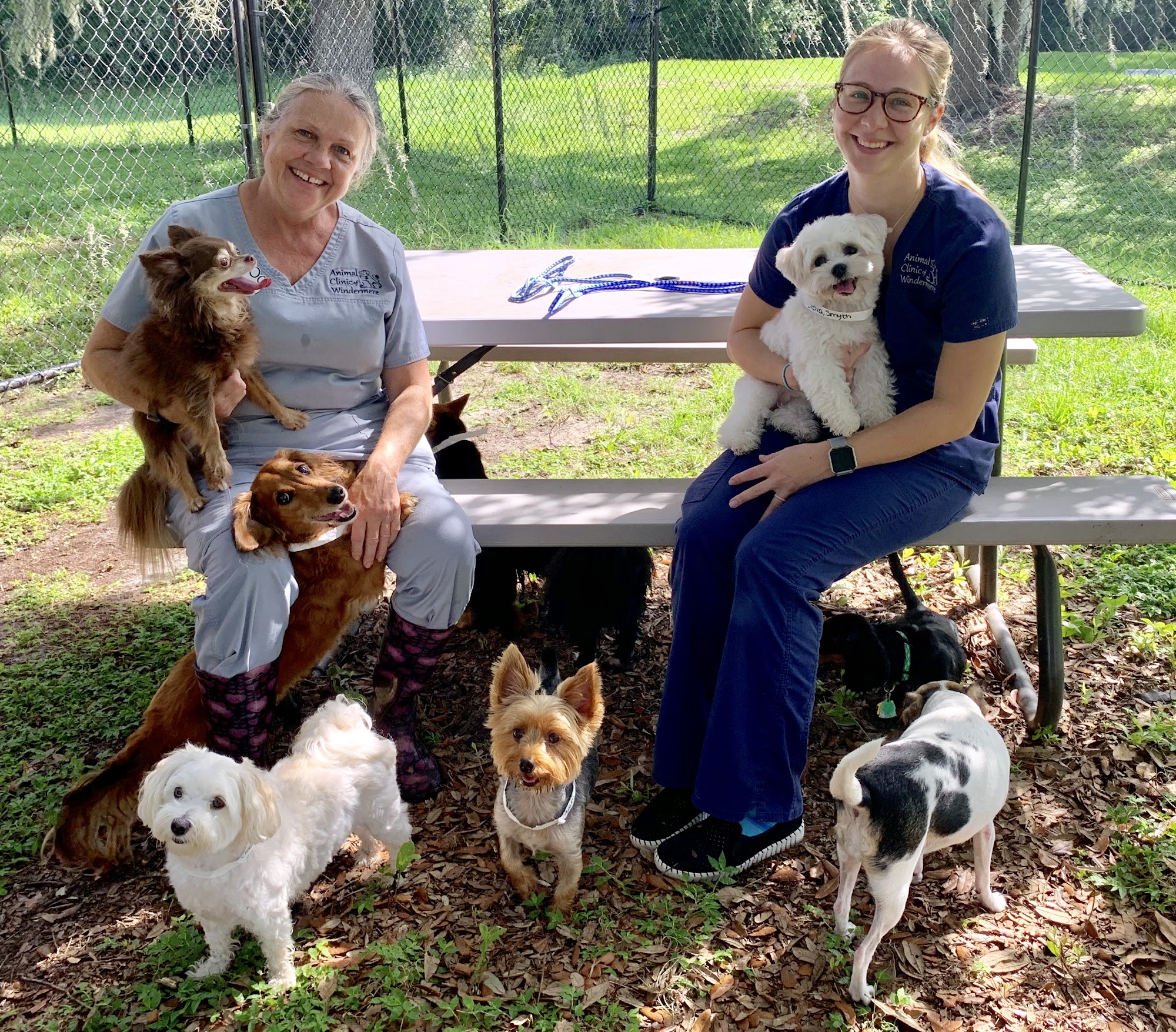 Animal Clinic of Windermere Windermere