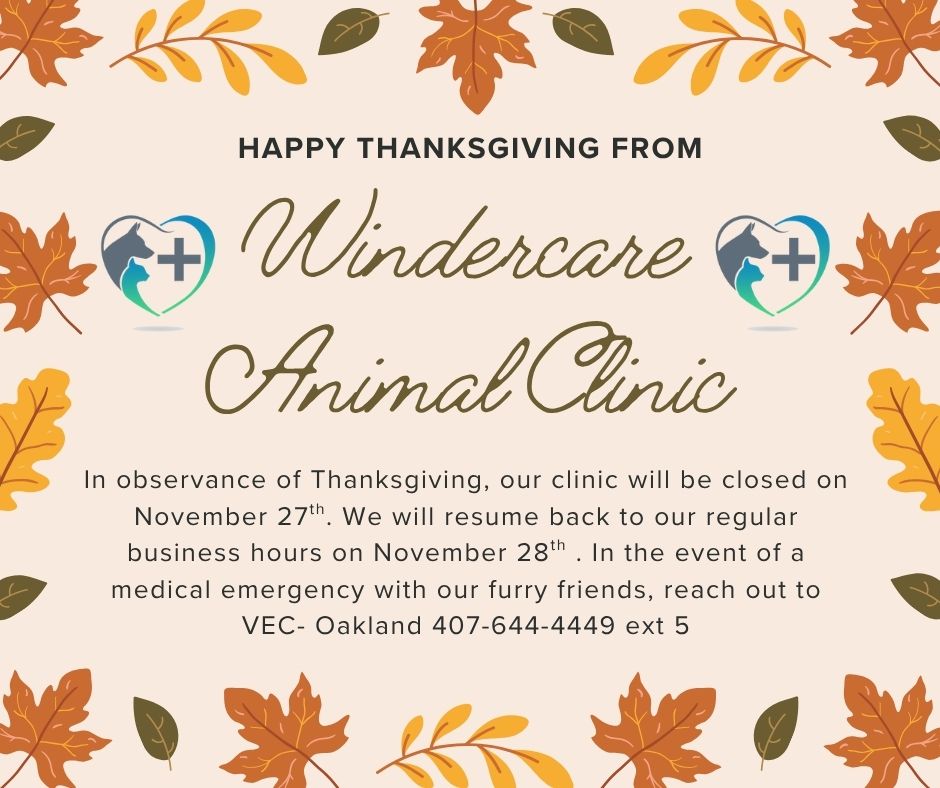 Windercare Animal Clinic Windermere
