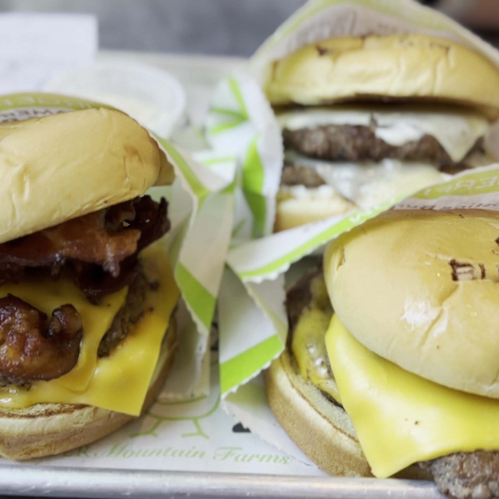 BurgerFi Winter Garden