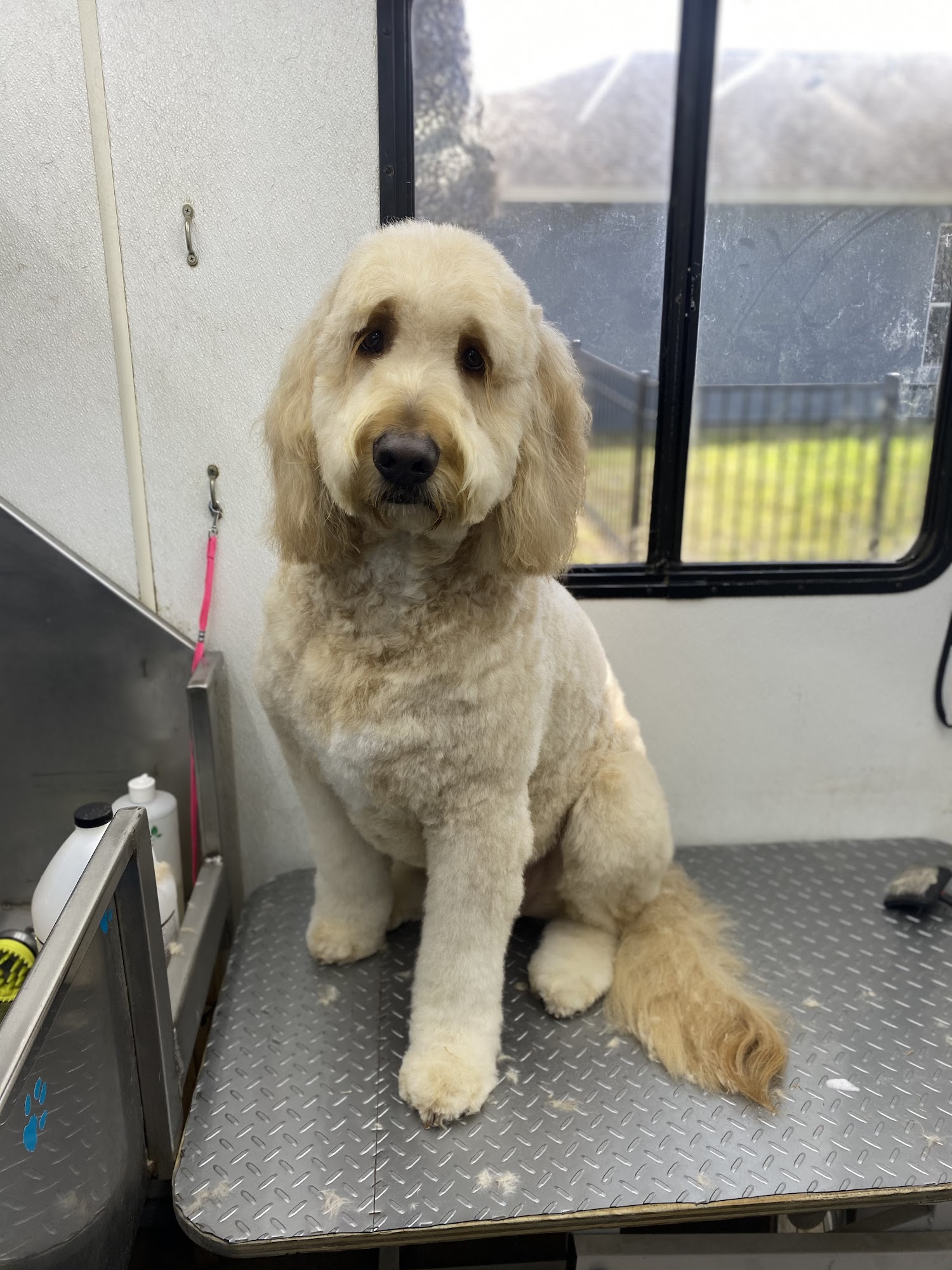 Clip N Clean Mobile Pet Grooming Winter Garden