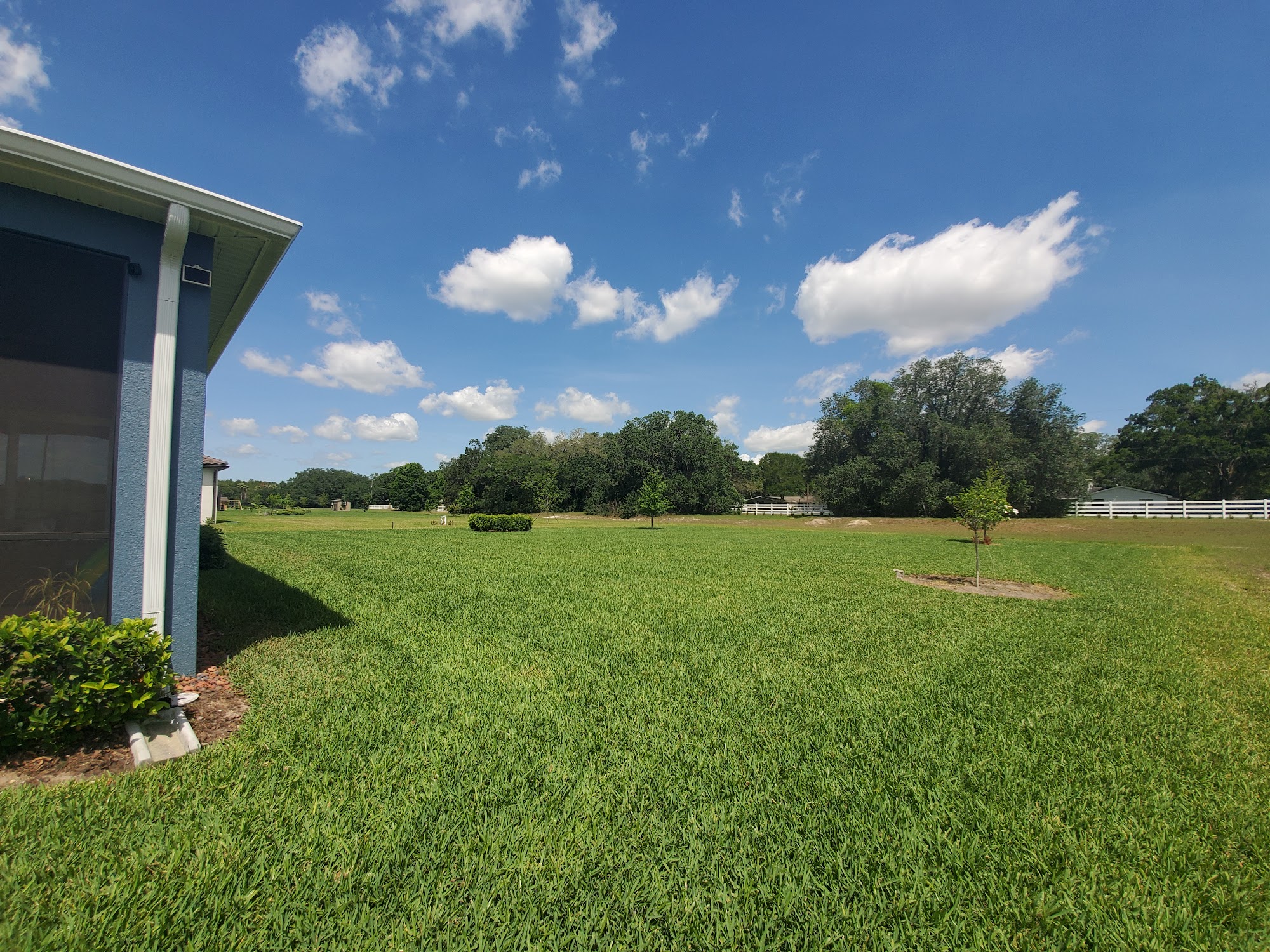 Home Pest Control Orlando, Winter Garden Florida