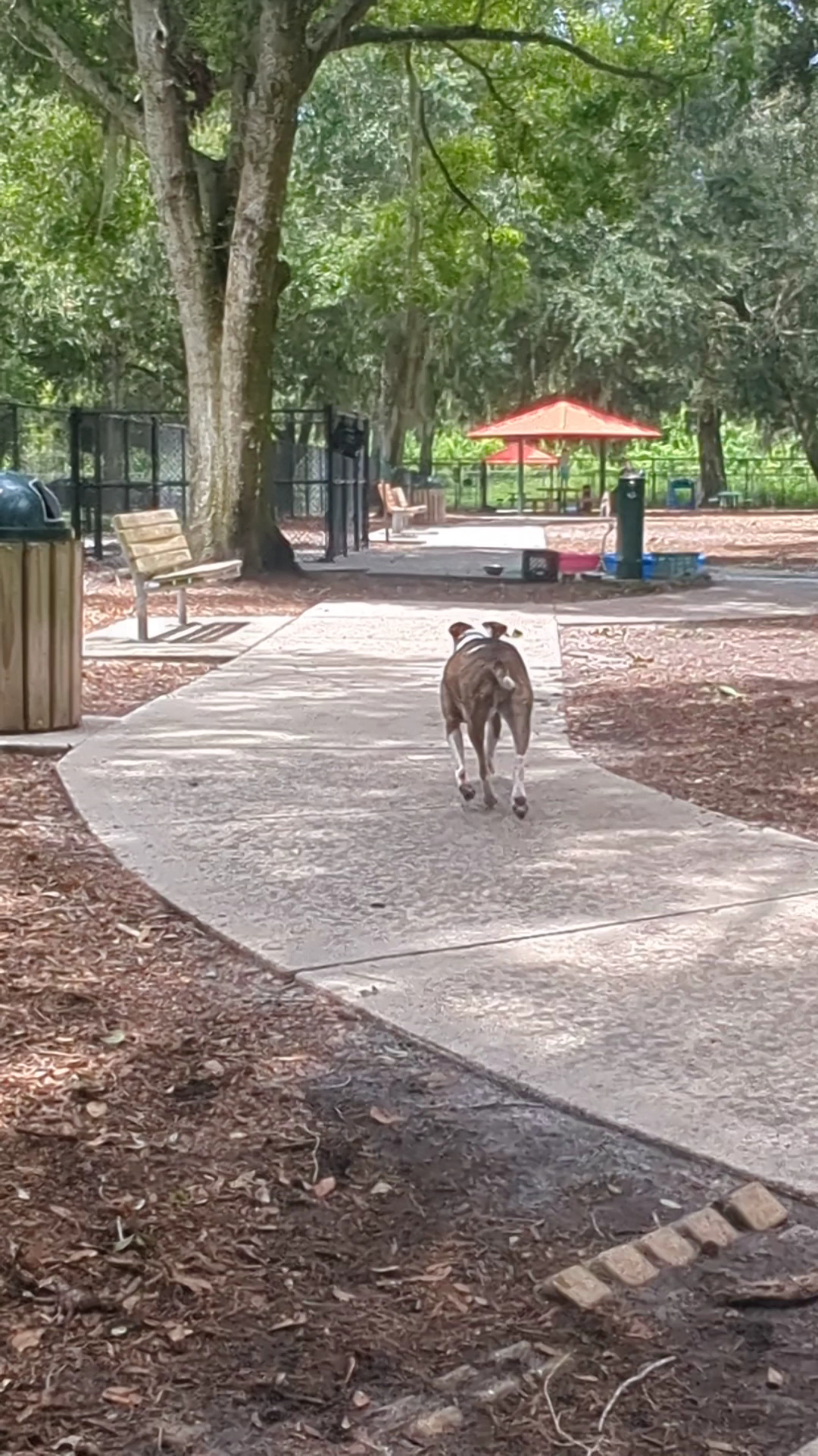 West Orange Dog Park Winter Garden