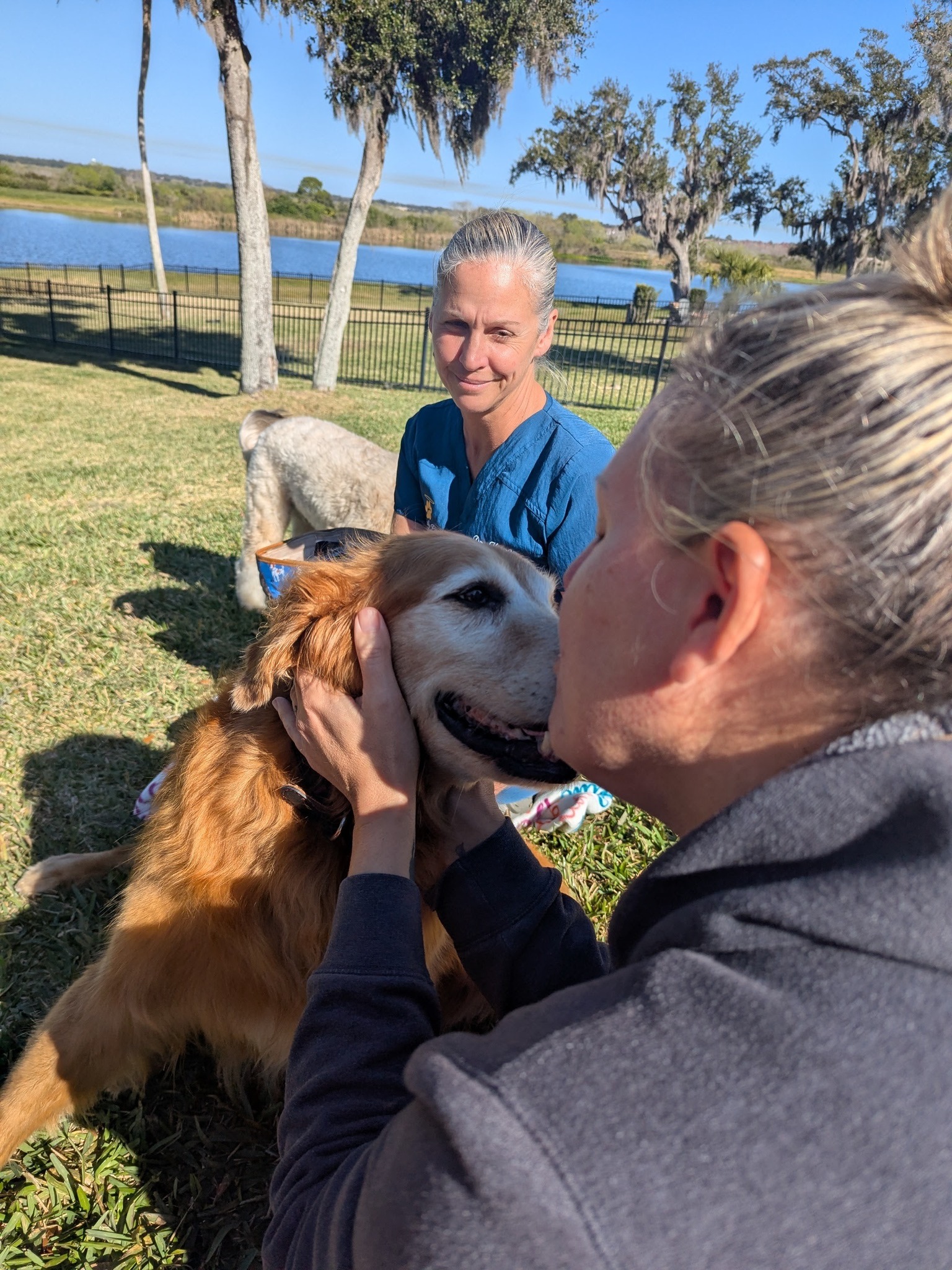 Heavenly Paws House Calls Winter Garden