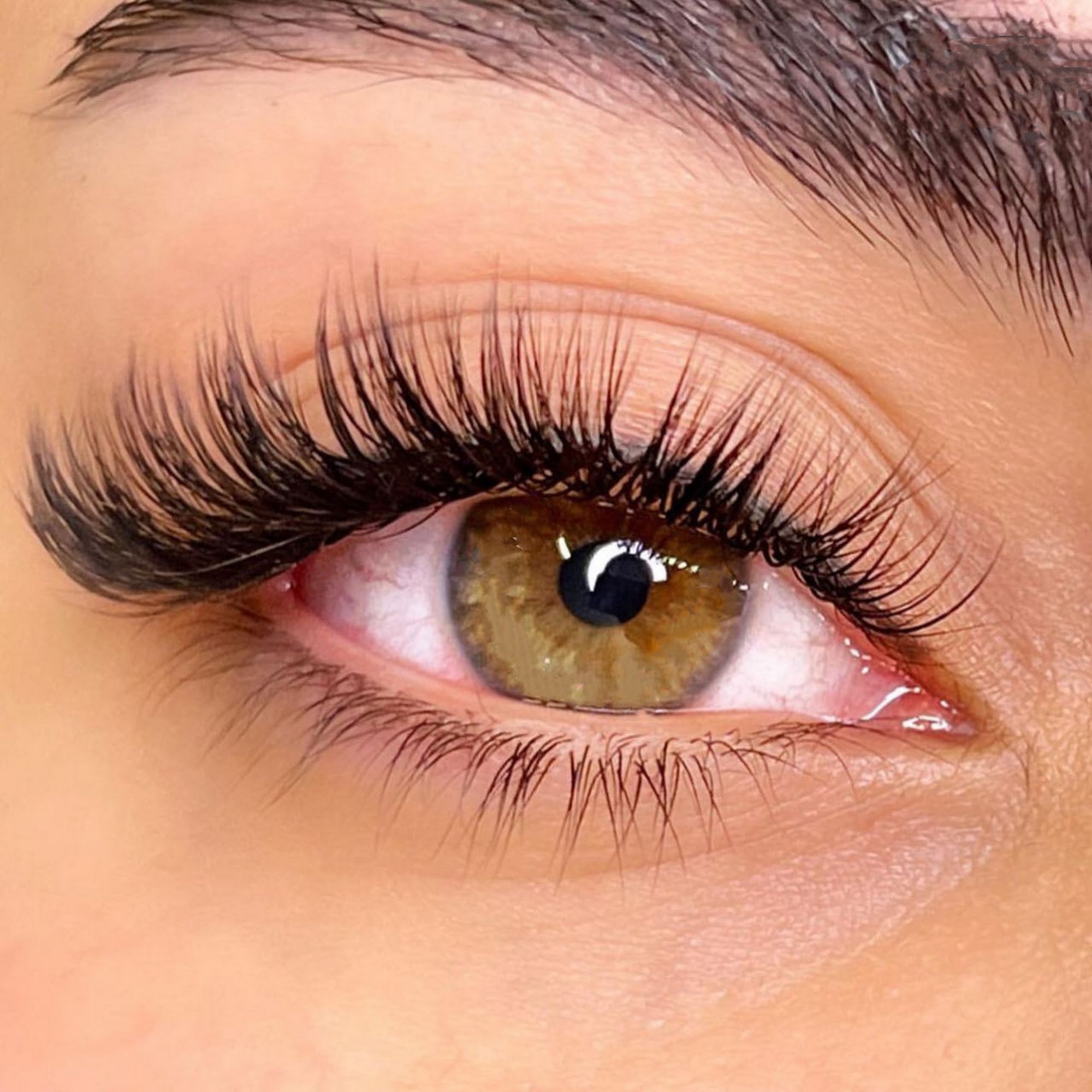 DollFace Lash Winter Garden 1015 S Dillard St #34, Winter Garden Florida 34787