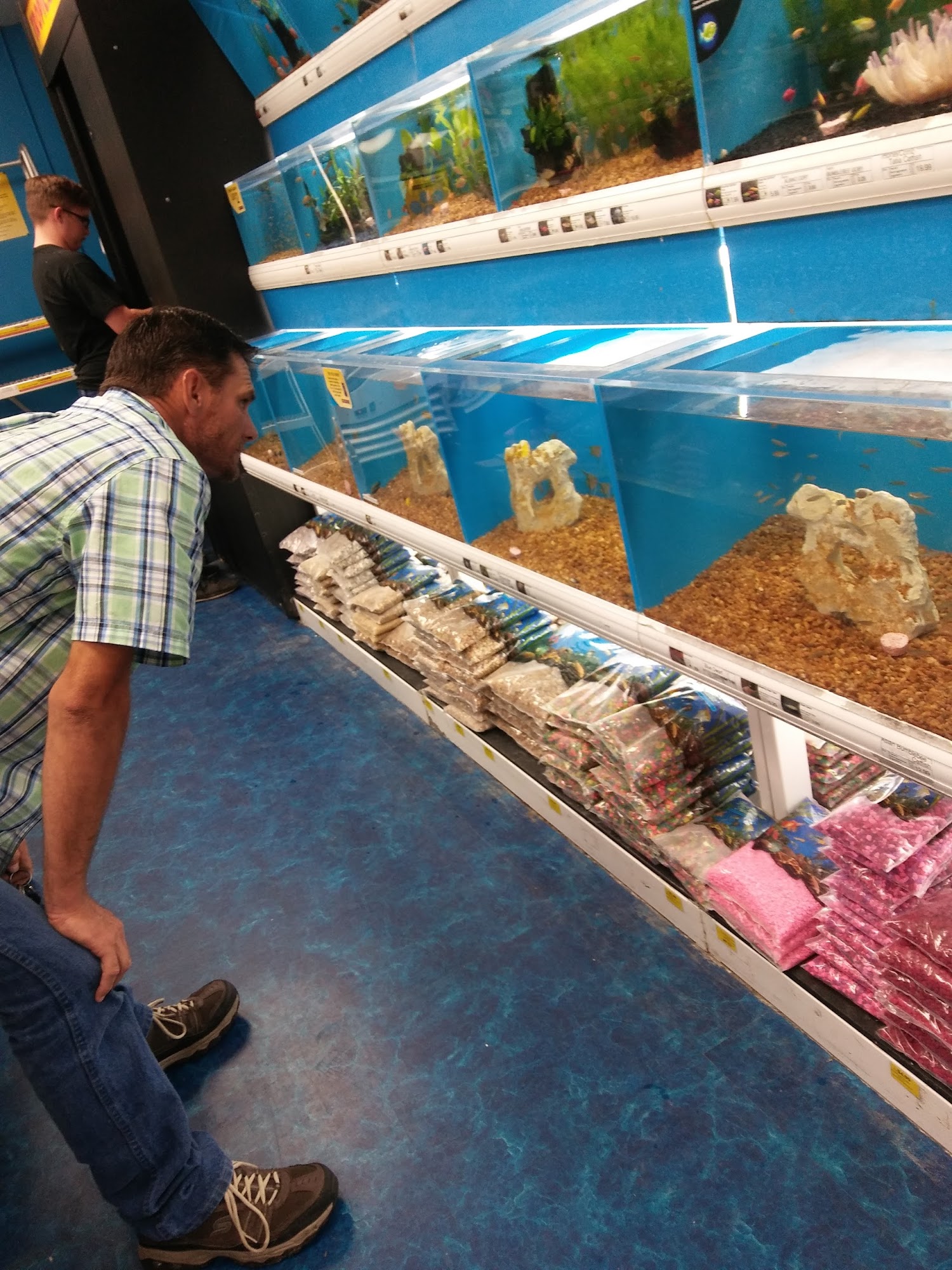 Pet Supermarket Winter Haven