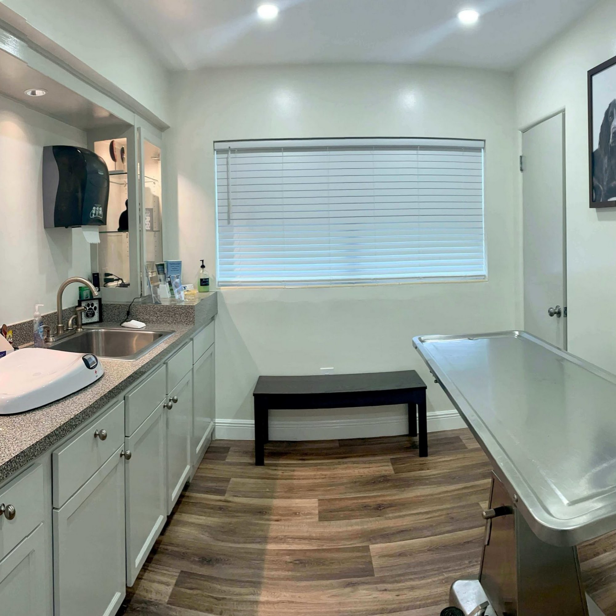 Paw Haven Animal Hospital Winter Haven