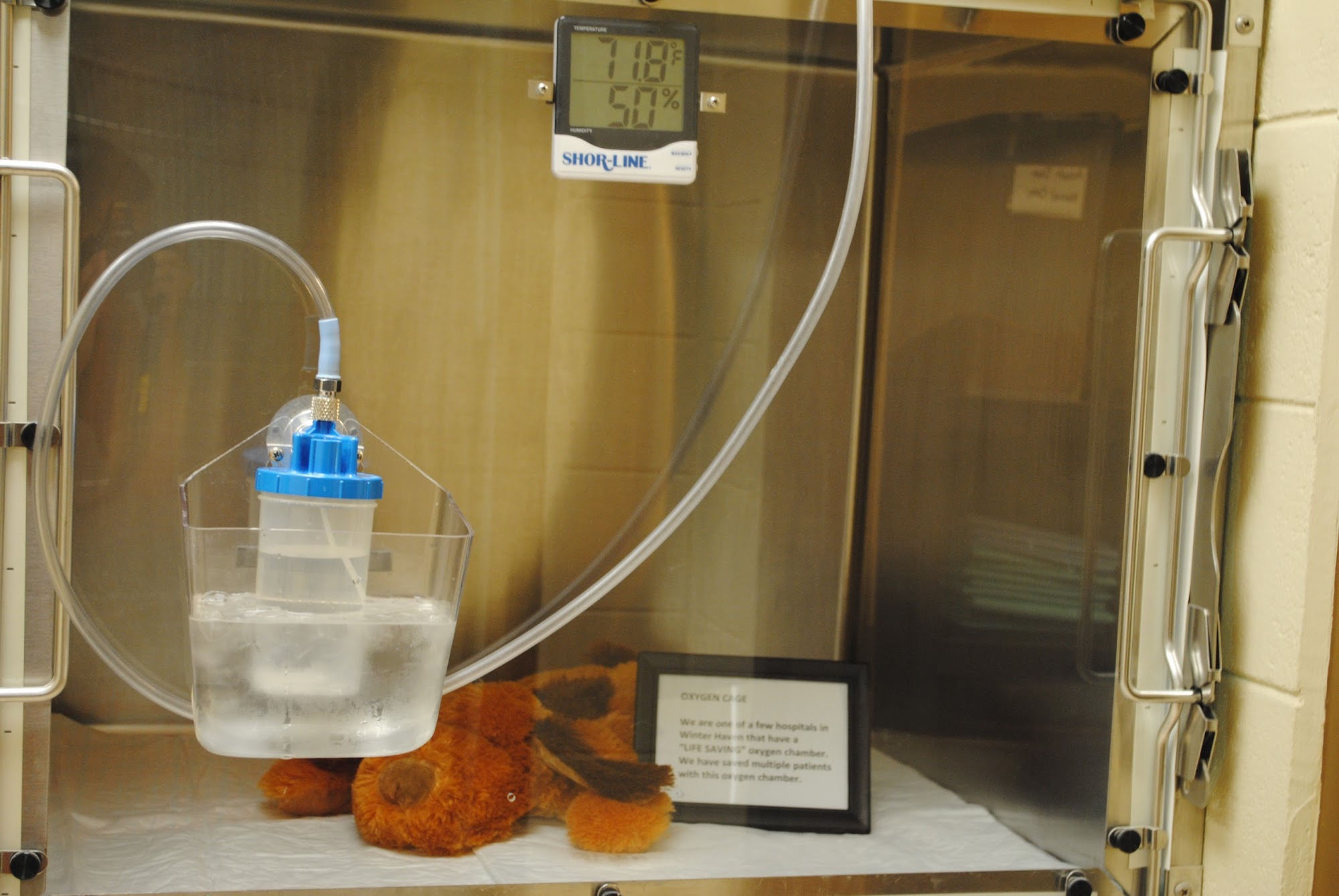 Cypress Animal Hospital Winter Haven