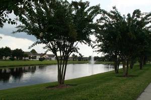 Weber Environmental Services