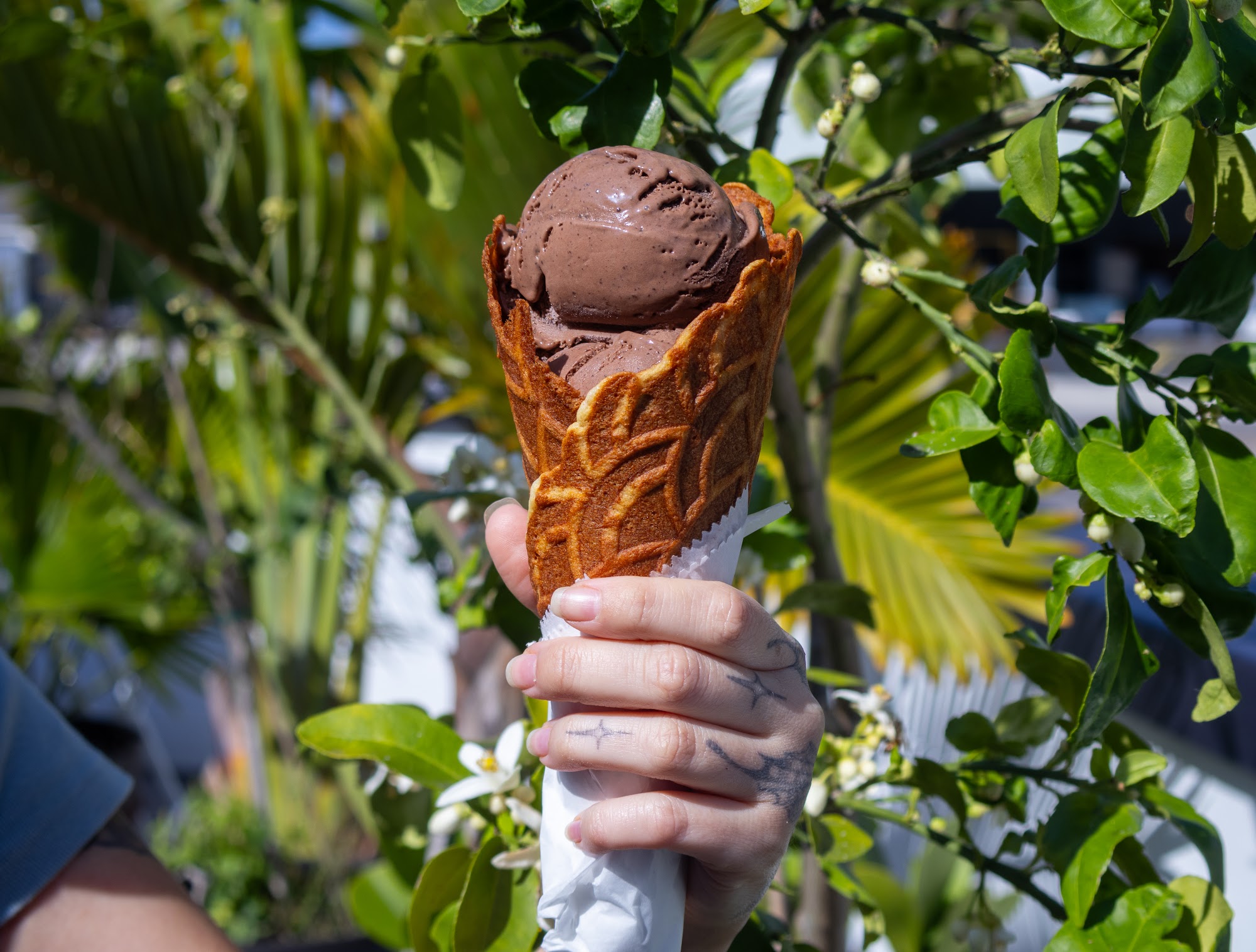 Ripples Handcrafted Ice Cream Menu