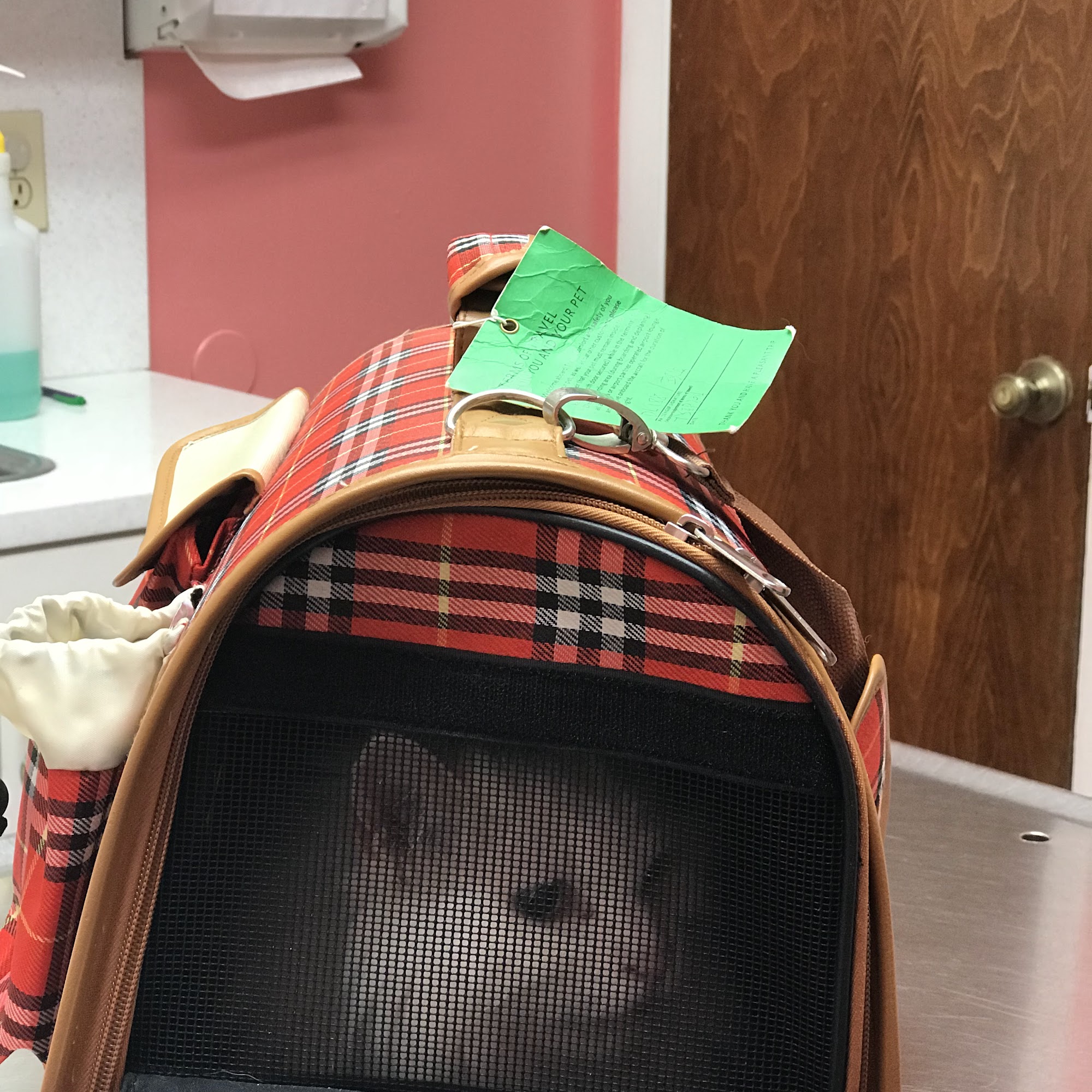 Mayfair Animal Hospital Winter Park