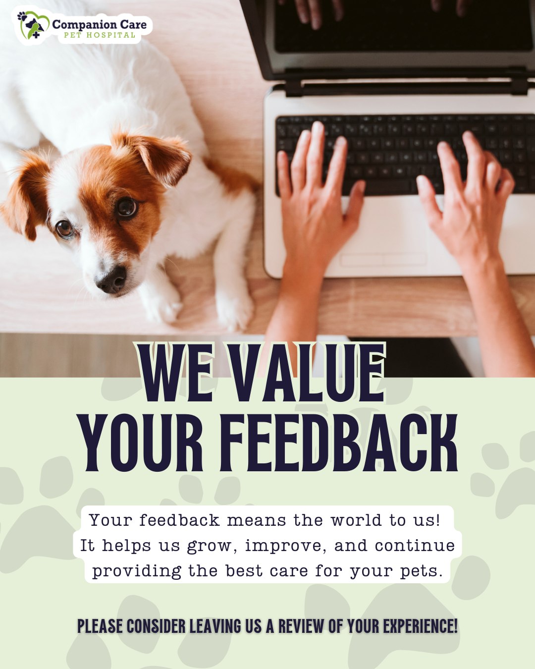 Companion Care Pet Hospital Winter Park