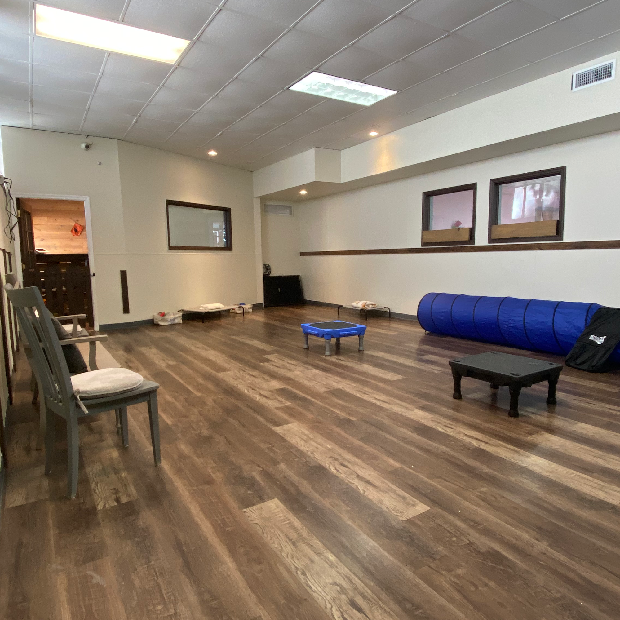 Absolute Control Dog Training Of Orlando Winter Park