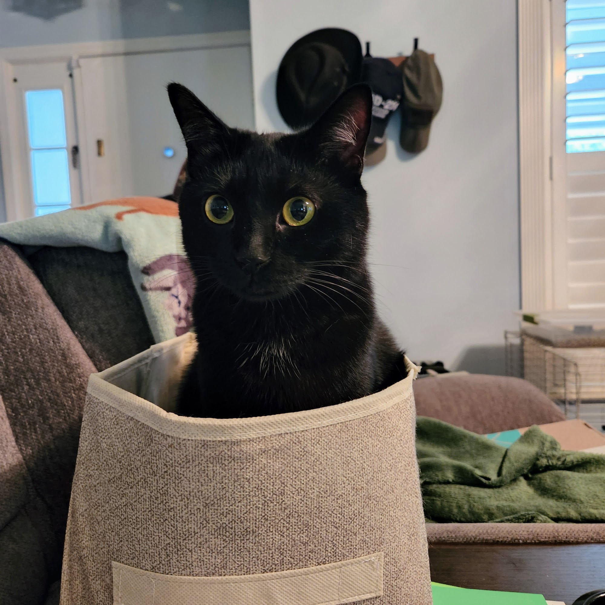 Lake Jesup Animal Hospital Winter Springs