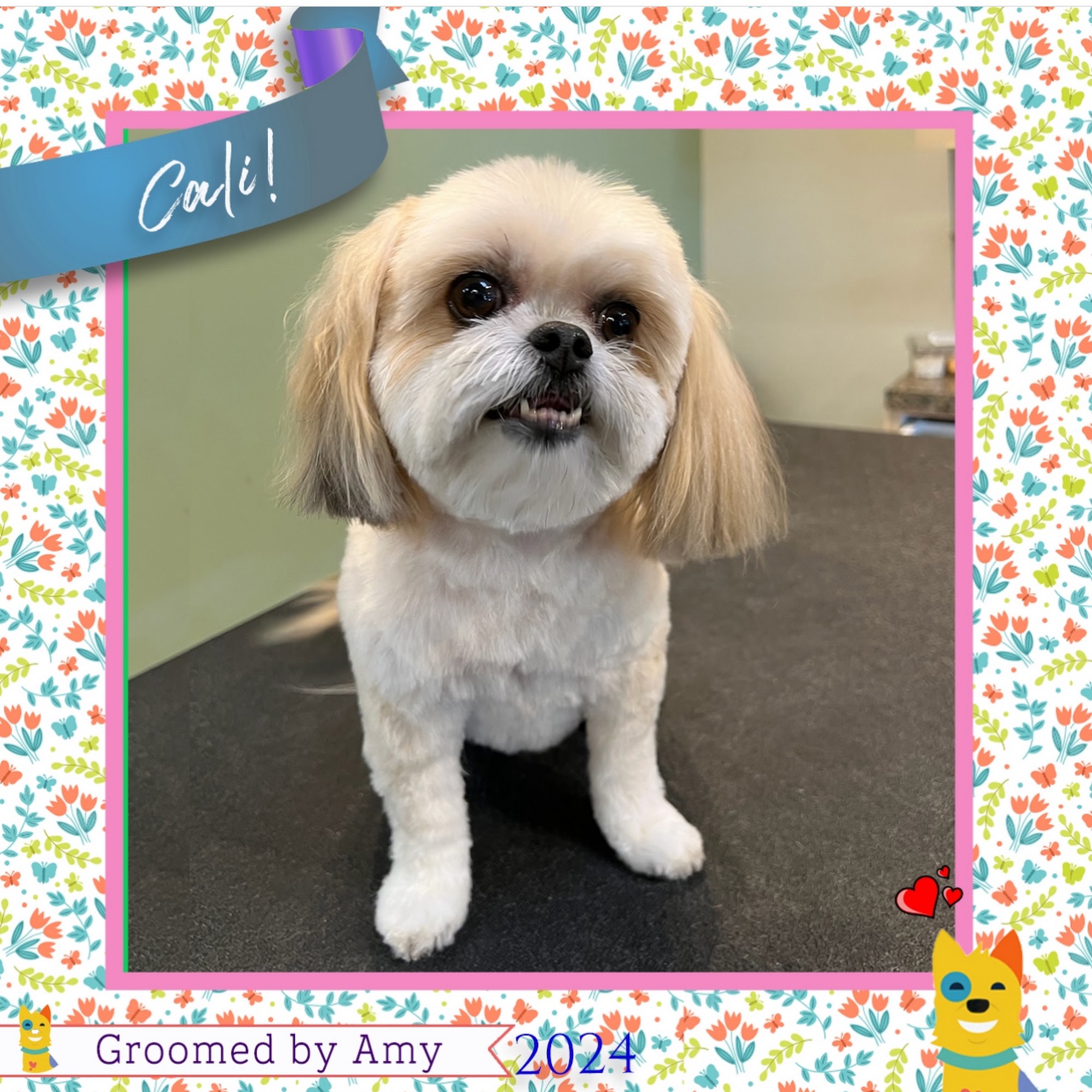 D'tails Pet Boutique & Spa Winter Springs