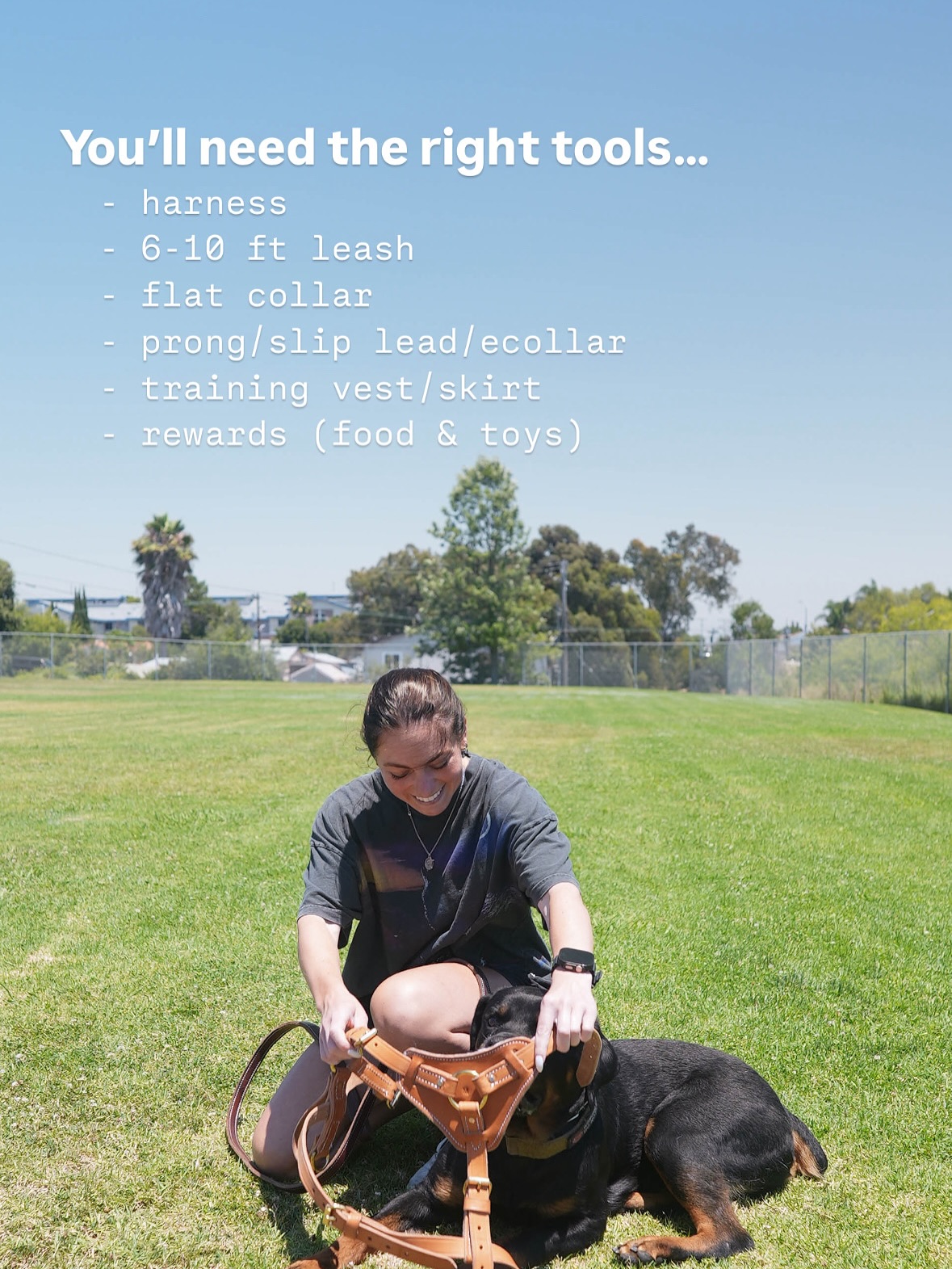 The Everyday Trainer Winter Springs