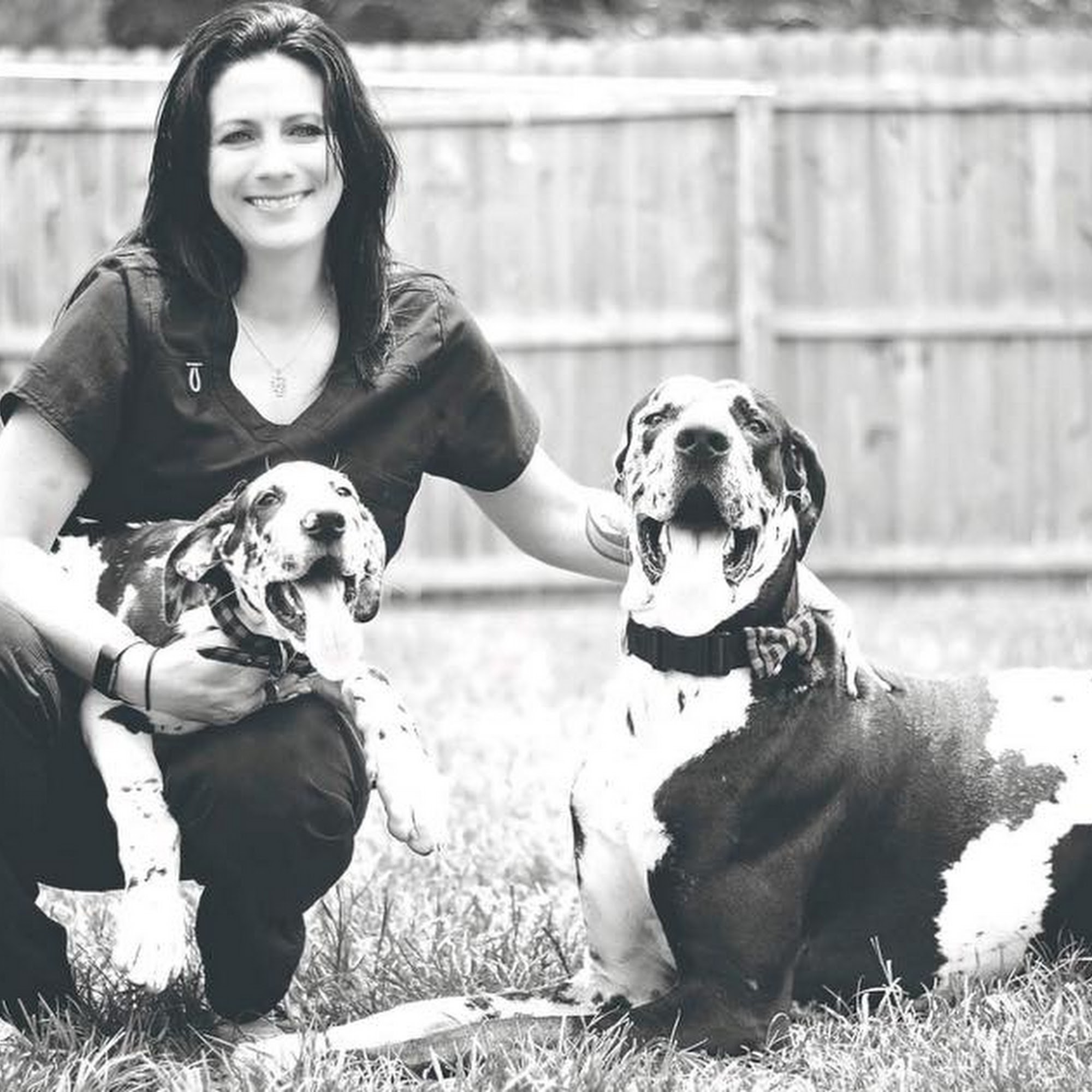 Lofton Creek Animal Clinic Yulee