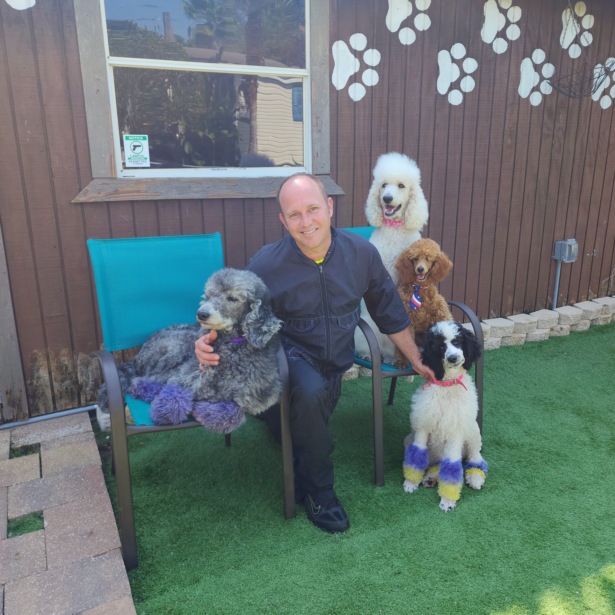 DoggieStylerz' By Tim & Brad Zephyrhills