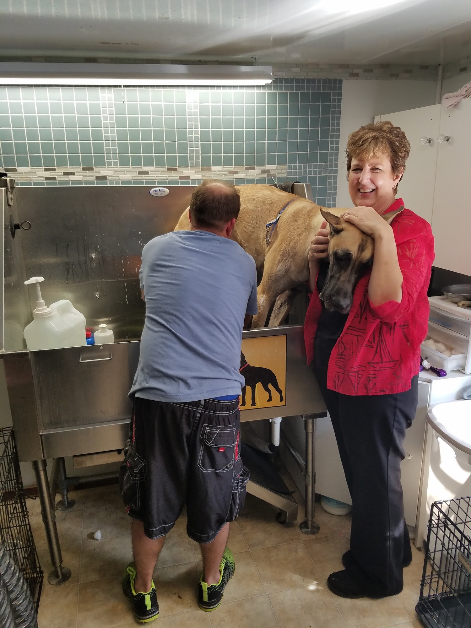 DoggieStylerz' By Tim & Brad Zephyrhills