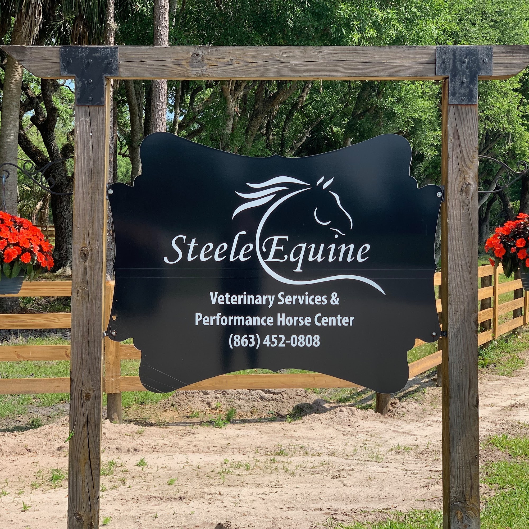 Steele Equine Veterinary Services & Performance Horse Center Zolfo Springs