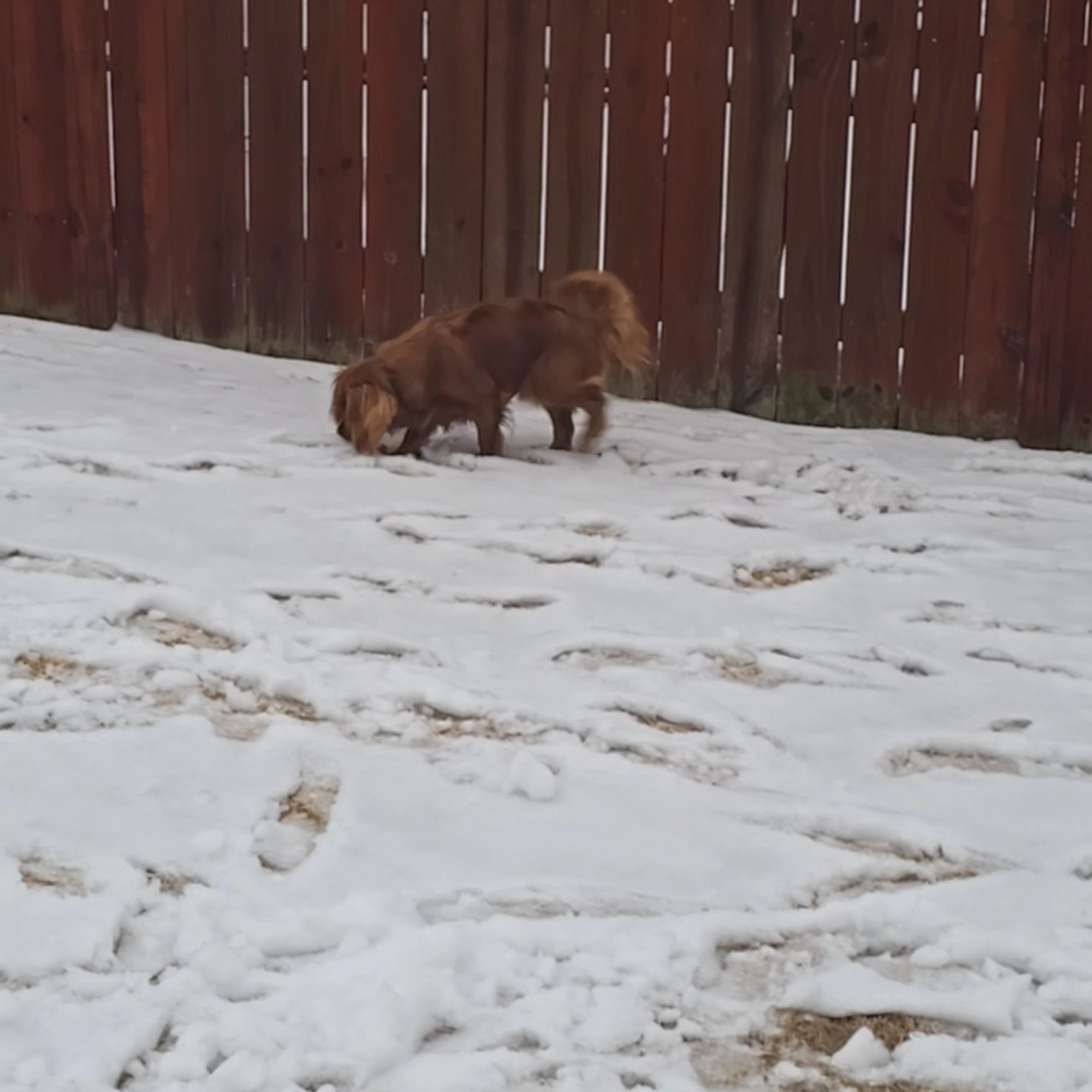 Lake City Animal Hospital Acworth