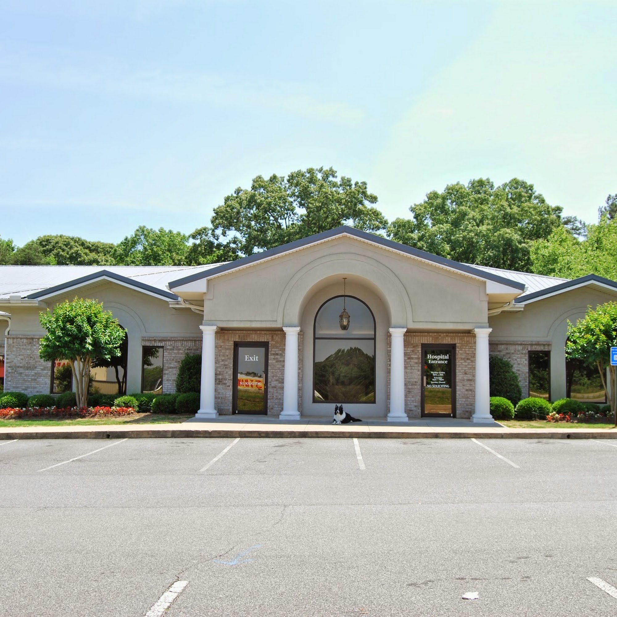 Bells Ferry Veterinary Hospital Acworth