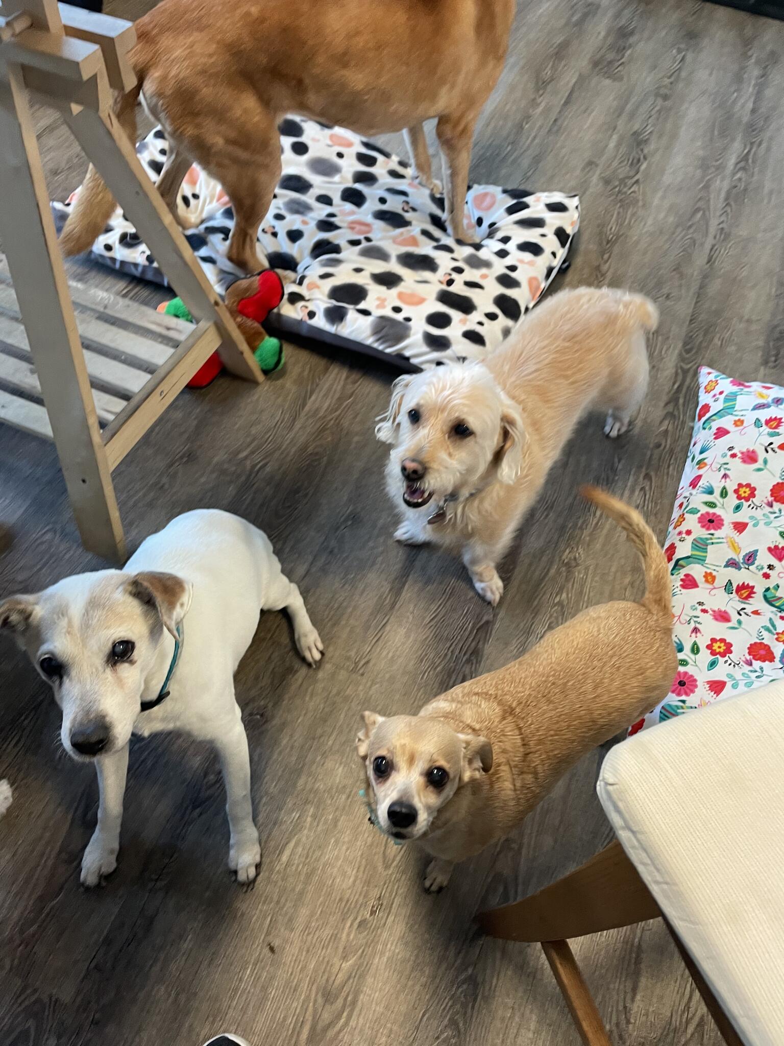 Photo credit: nextdoor