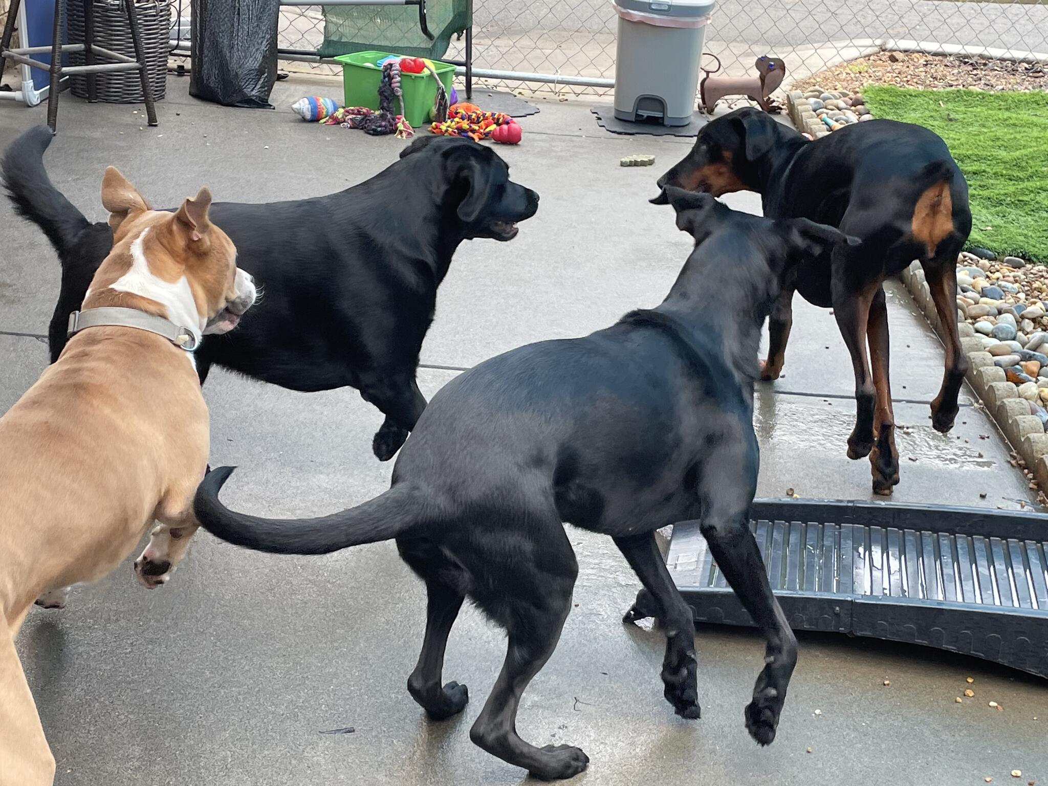 Photo credit: nextdoor