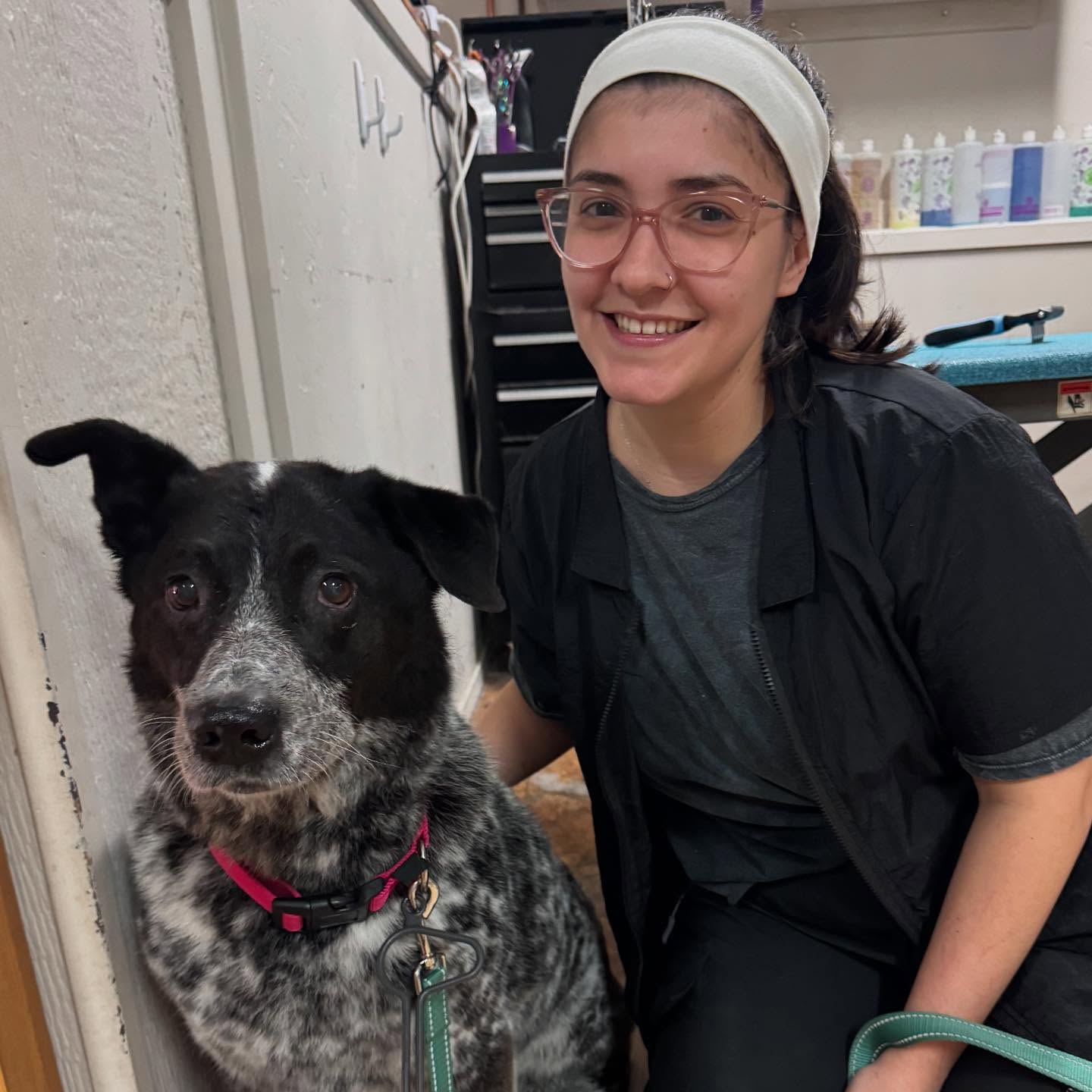 Dirty Dog Grooming Salon