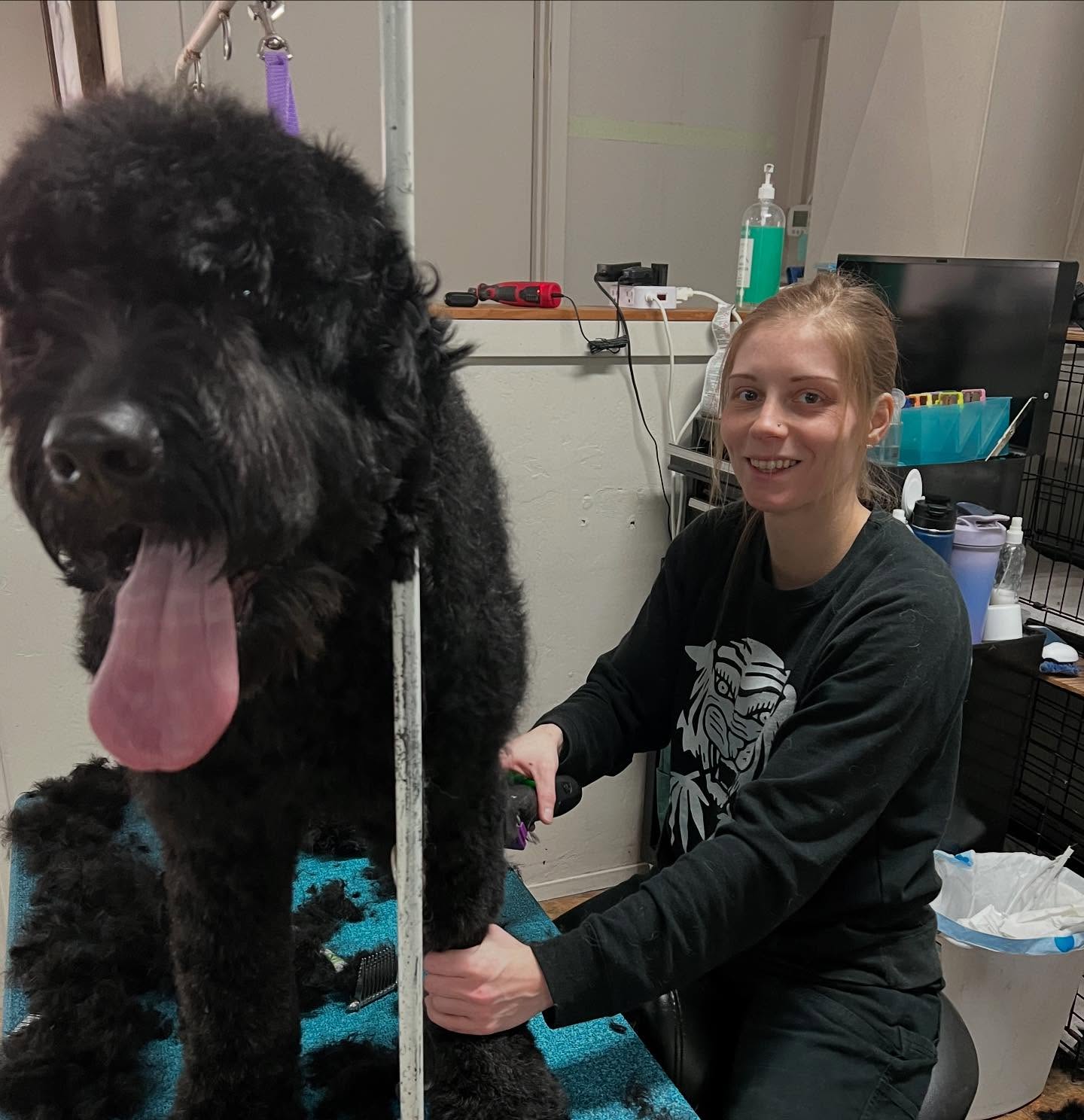 Dirty Dog Grooming Salon